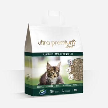 5 Astuces Efficaces Pour Reduire Les Odeurs De Sa Litiere Pour Chat Blog Ultra Premium Direct