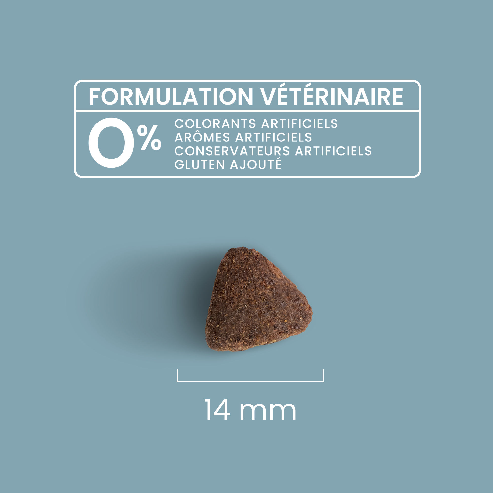 Zoom sur une croquette avec détails de taille et formulation vétérinaire pour chiot de grande taille