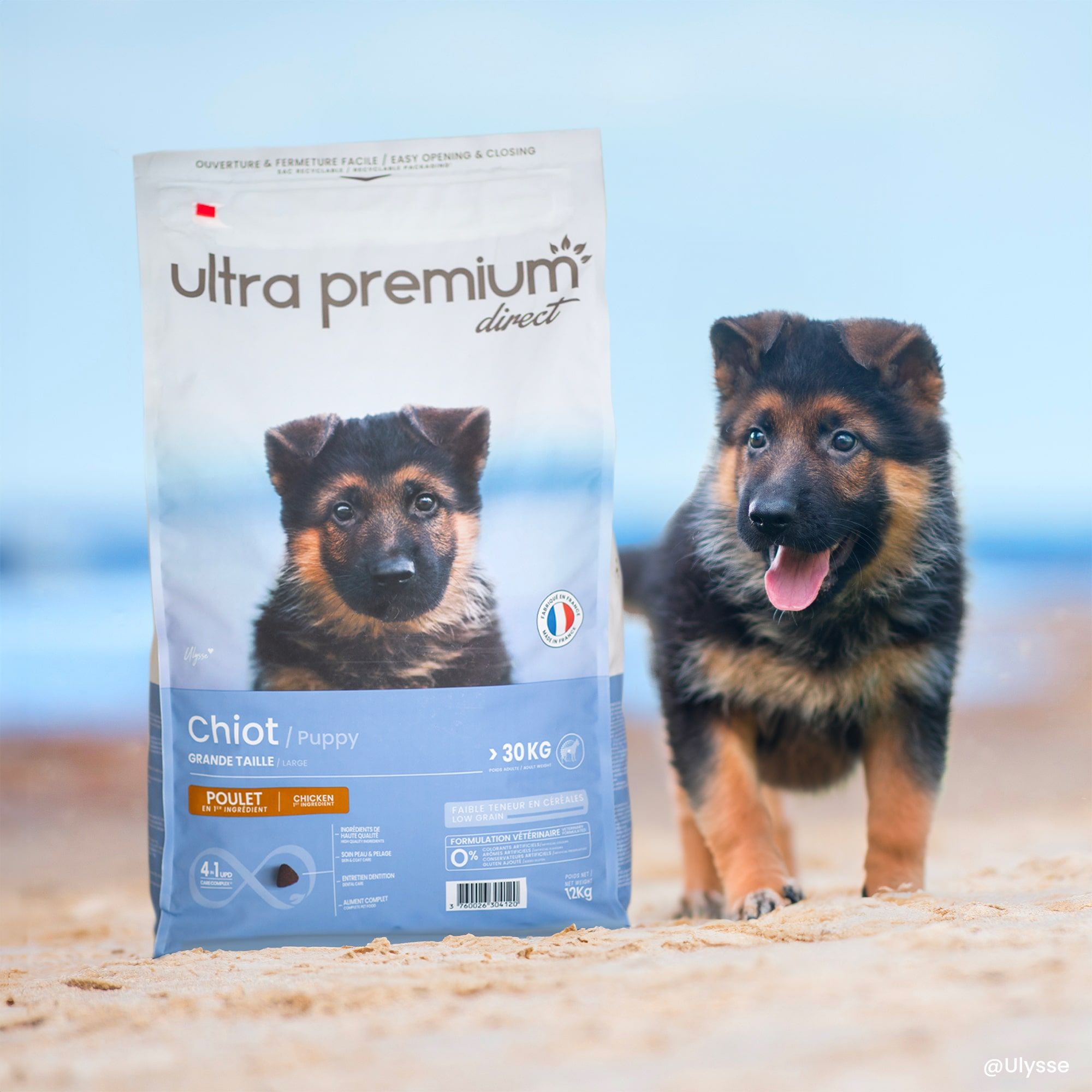 Berger australien en extérieur se tenant à côté d'un sac de croquettes Super Premium pour chiot de grande taille