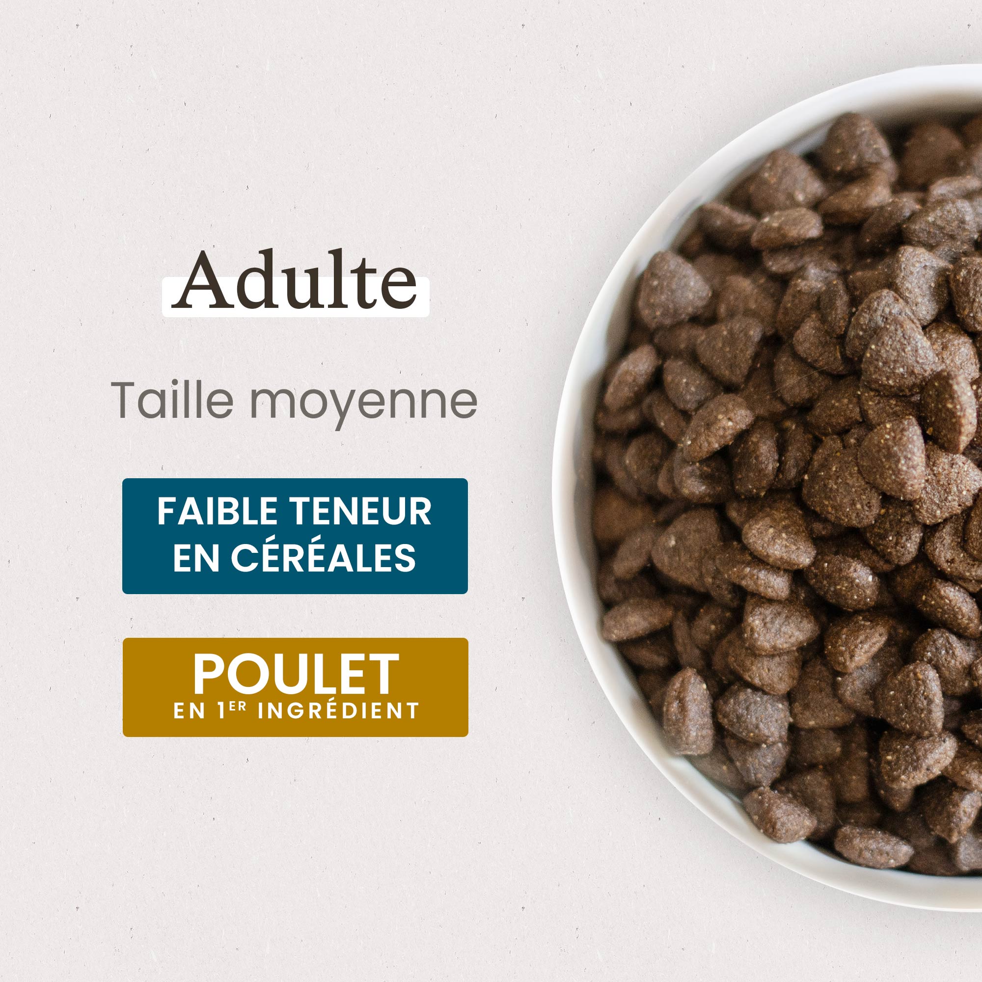 Gamelle contenant les croquettes Super Premium pour chien adulte de taille moyenne en gros plan