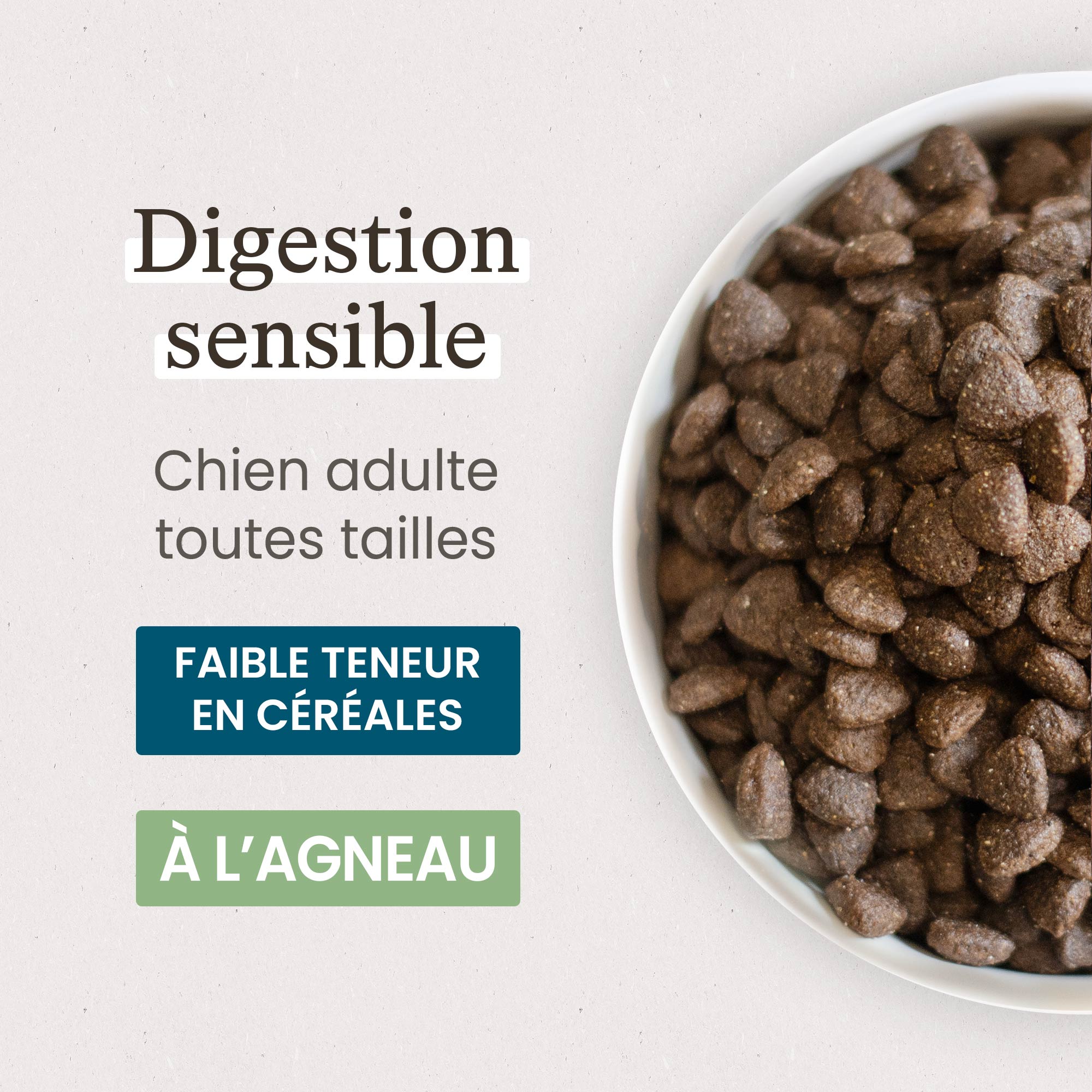 Zoom gamelle de croquettes avec détails de taille et formulation vétérinaire pour chien adulte digestion sensible de toutes tailles