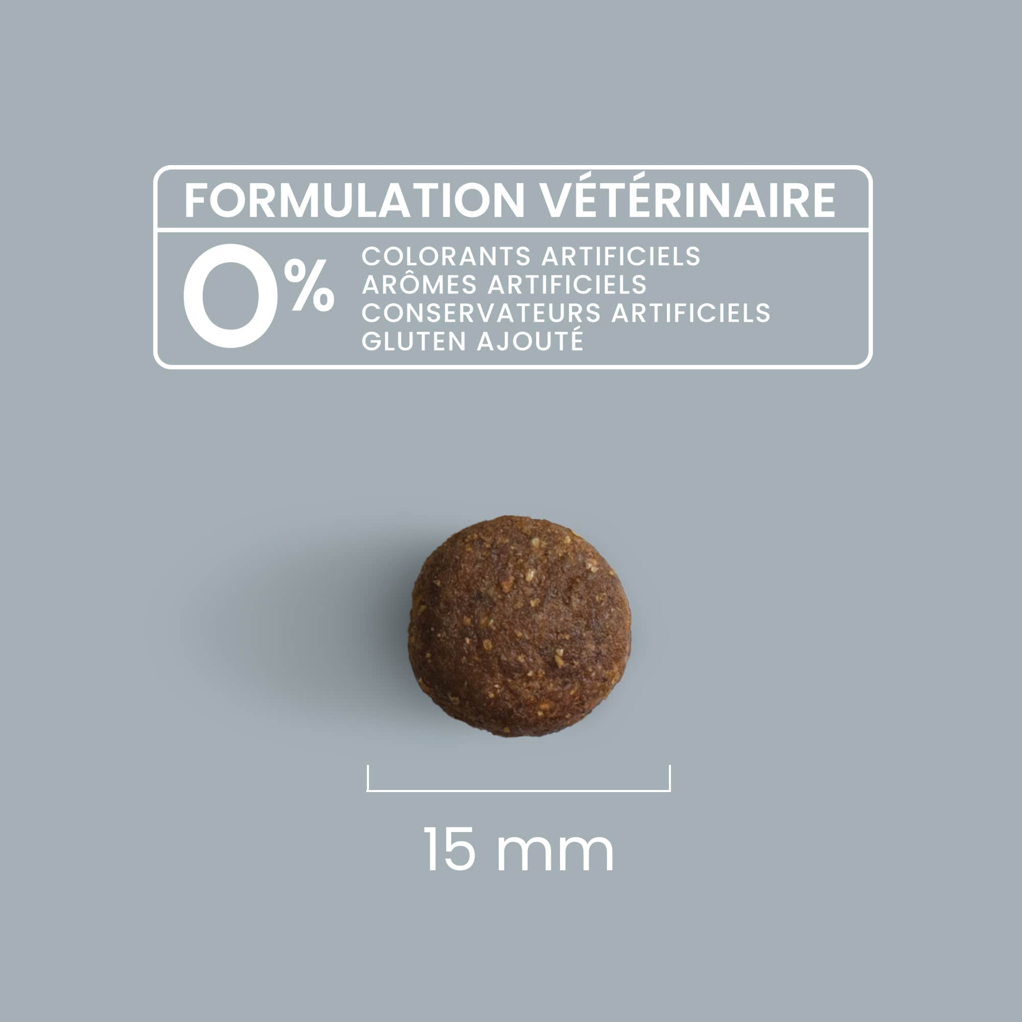 Zoom sur une croquette avec détails composition et taille croquette