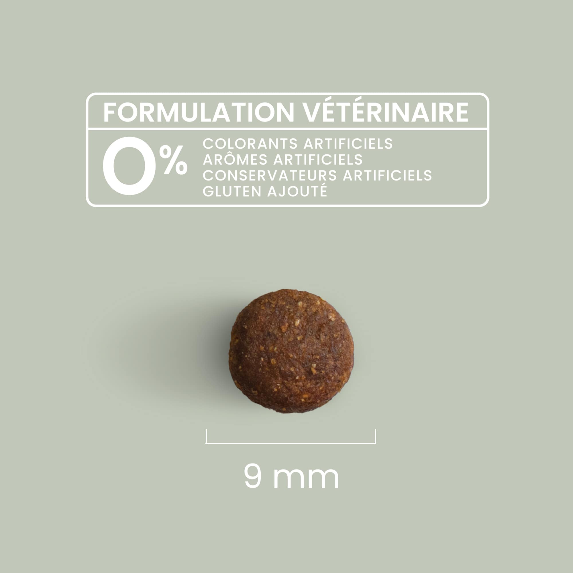 Zoom sur une croquette sans céréales au poulet frais pour chat adulte stérilisé avec détails de taille et formulation vétérinaire