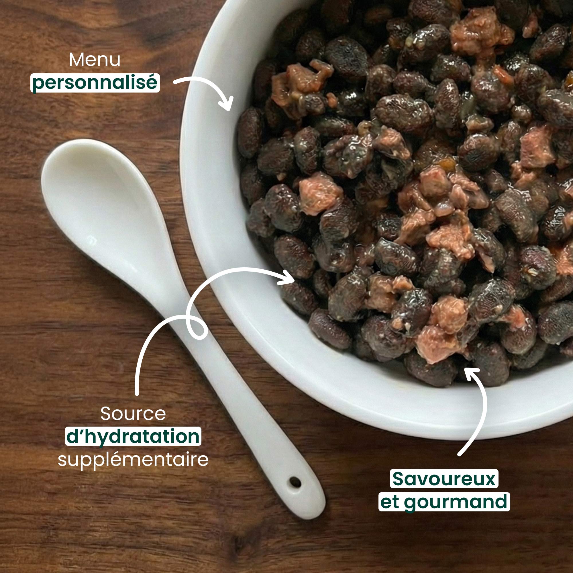 Gamelle contenant des croquettes avec mise en avant des bienfaits de la soupe aux effilés au poulet