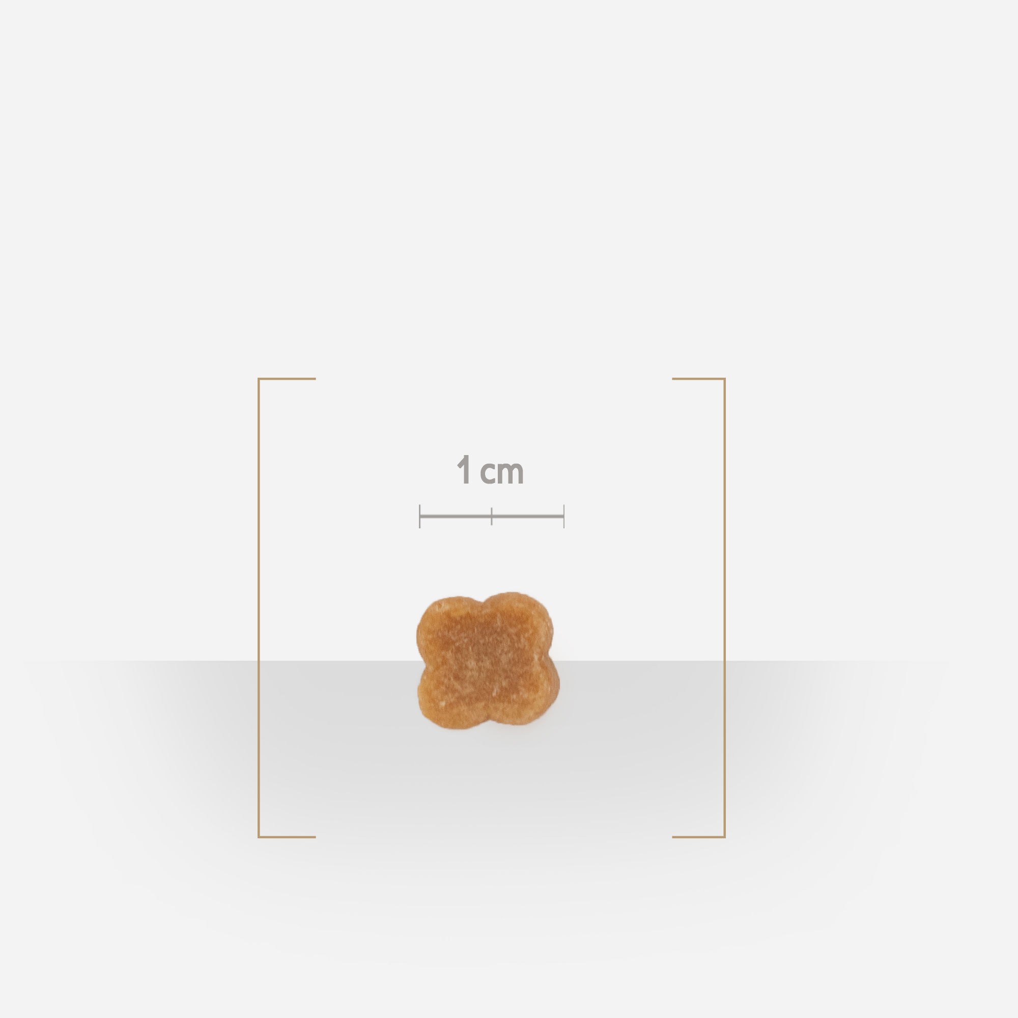 Zoom sur une friandise éducation sans céréales avec détail de taille