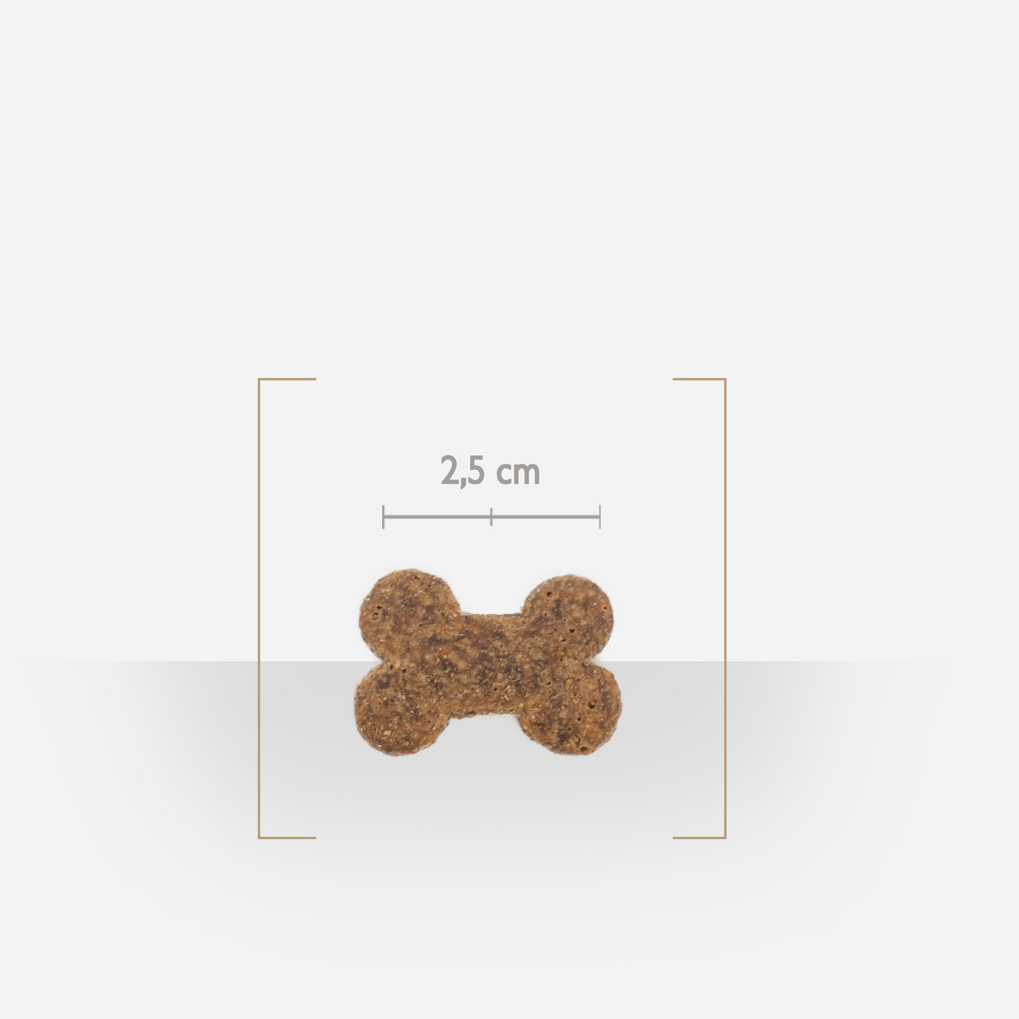 Zoom sur une friandise à l'agneau pour chien digestion sensible, avec détail de taille