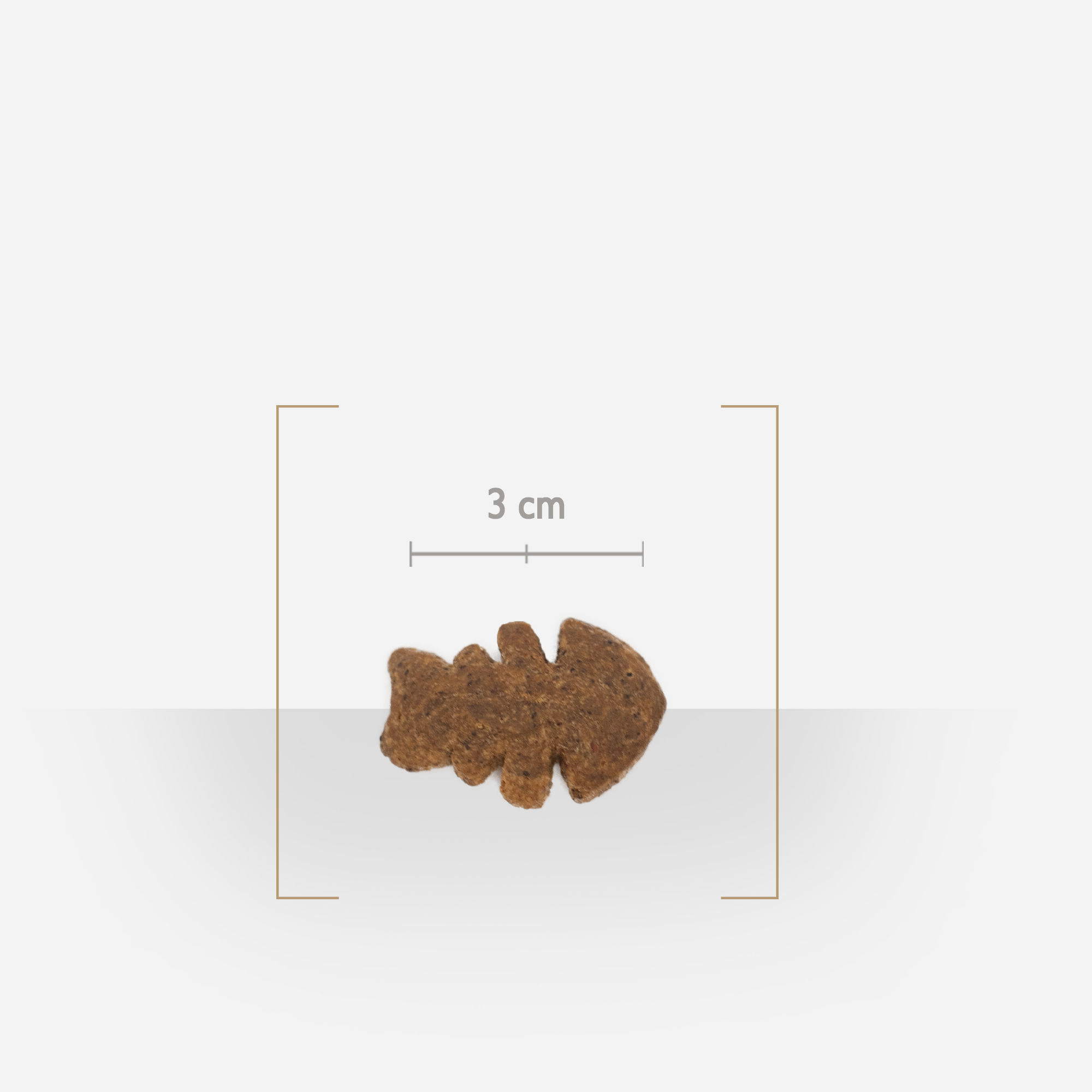 Zoom sur une friandise peau & pelage au saumon pour chien, avec détail de taille