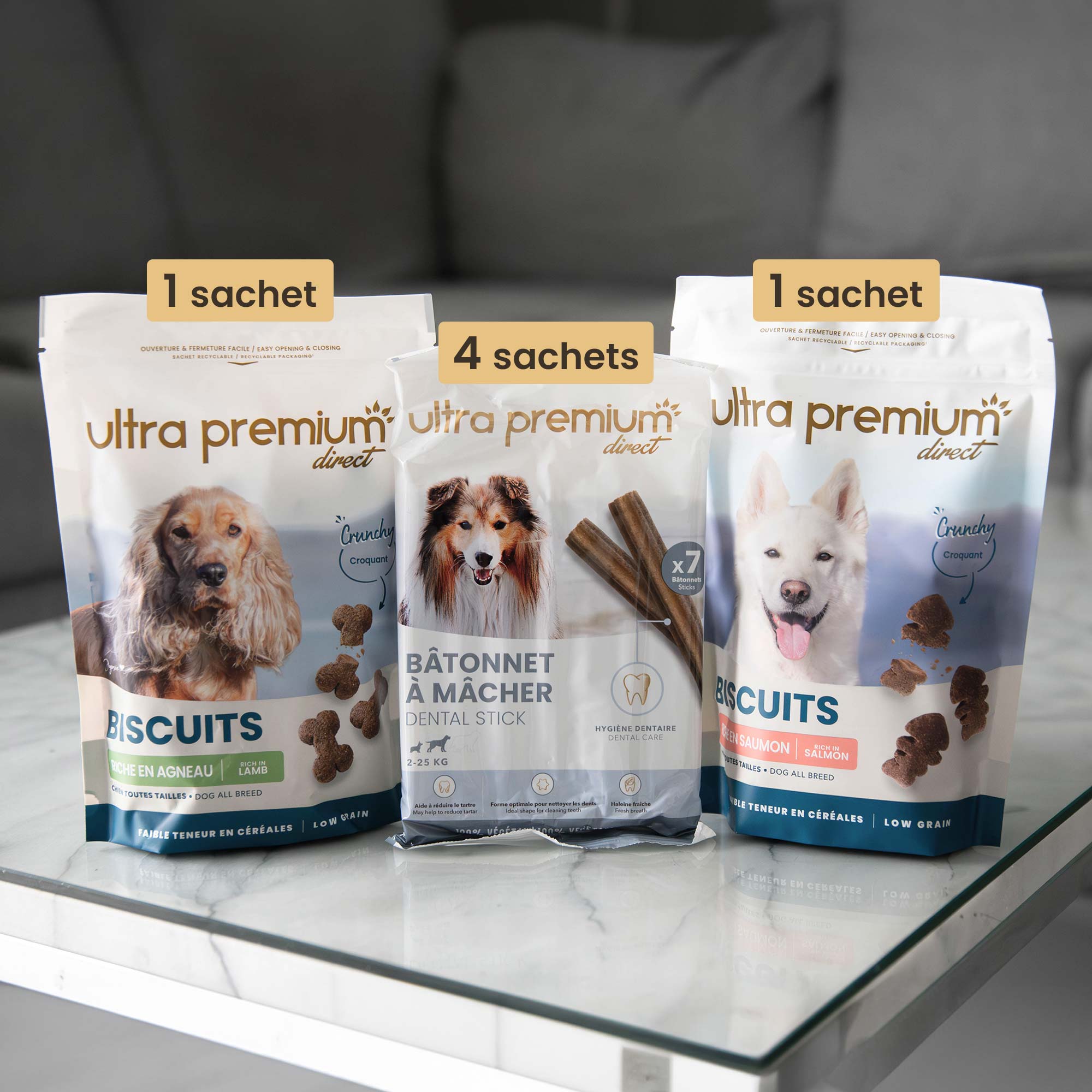 Kit plaisir petit et moyen chien de 2 à 25kg, en intérieur