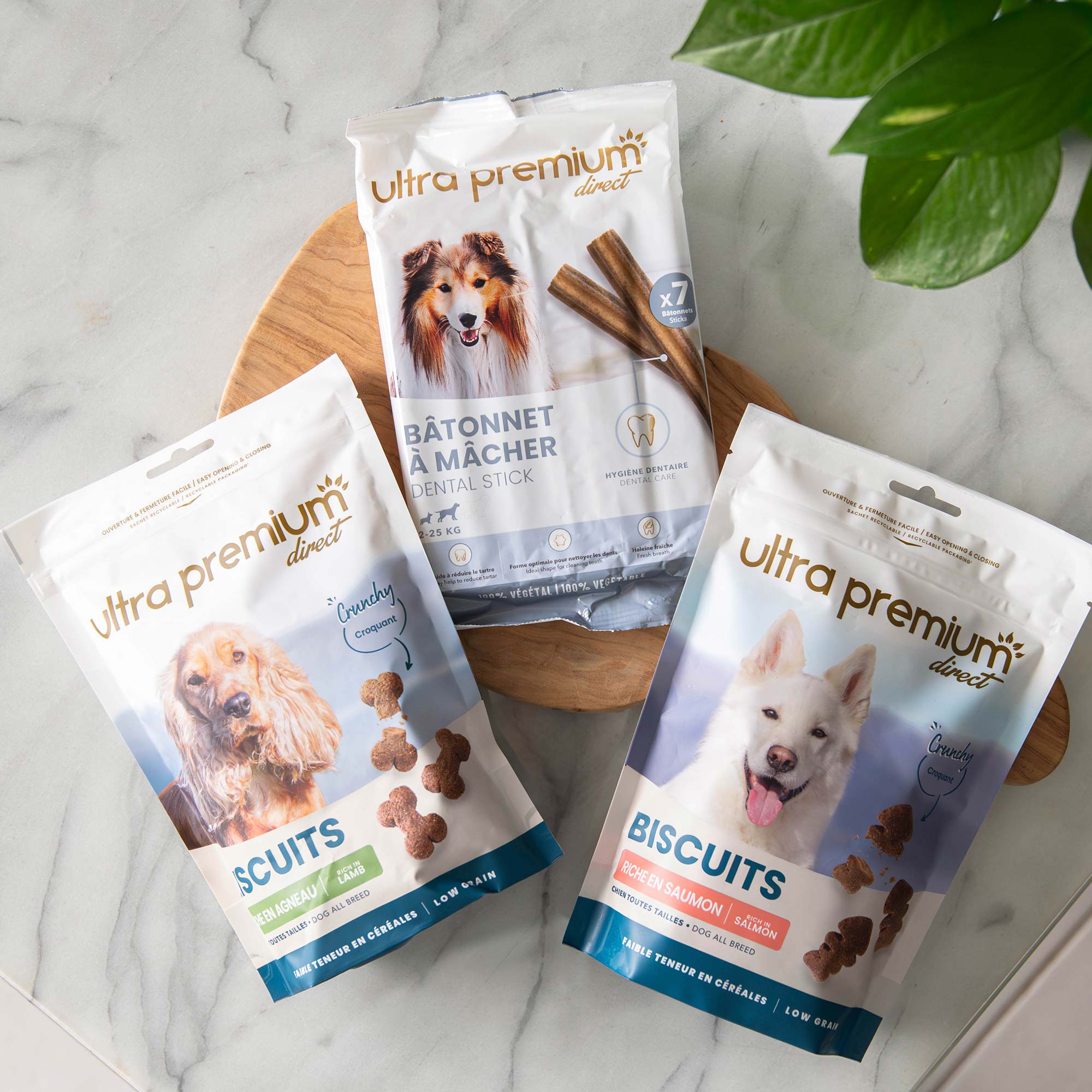 Kit plaisir petit et moyen chien de 2 à 25kg, en intérieur