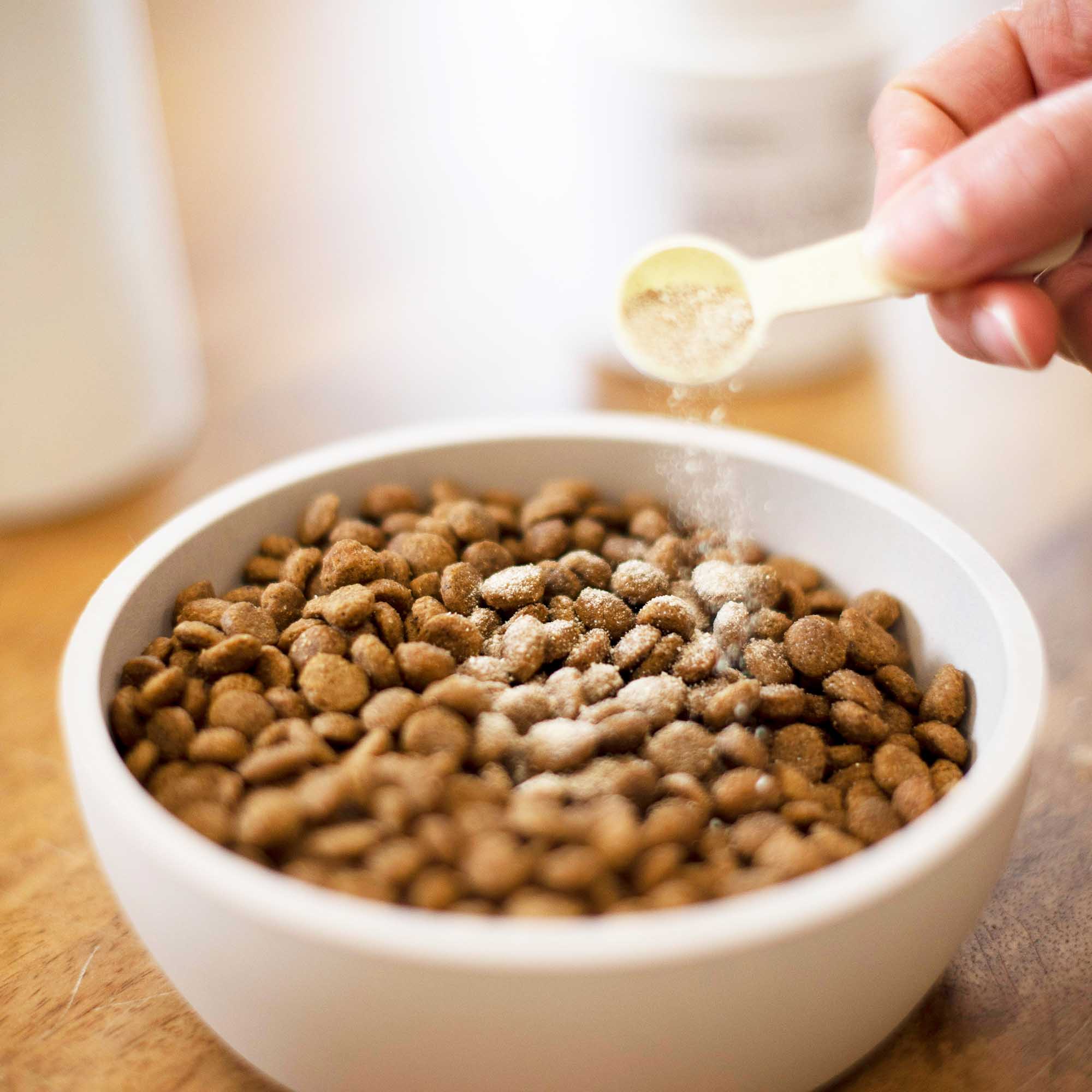 Aliment complémentaire pour Chien - Articulation