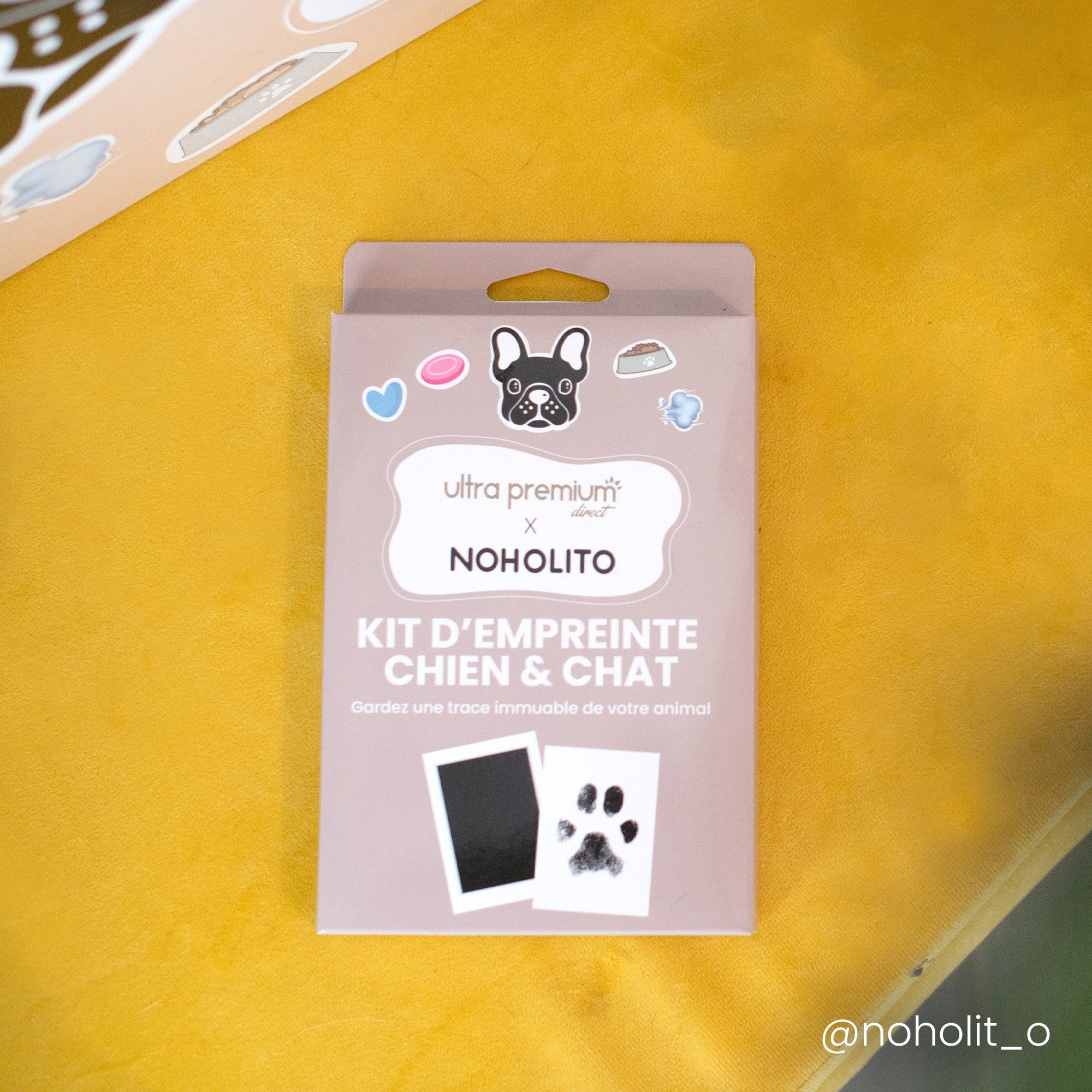 Kit d'empreinte pour chien et chat