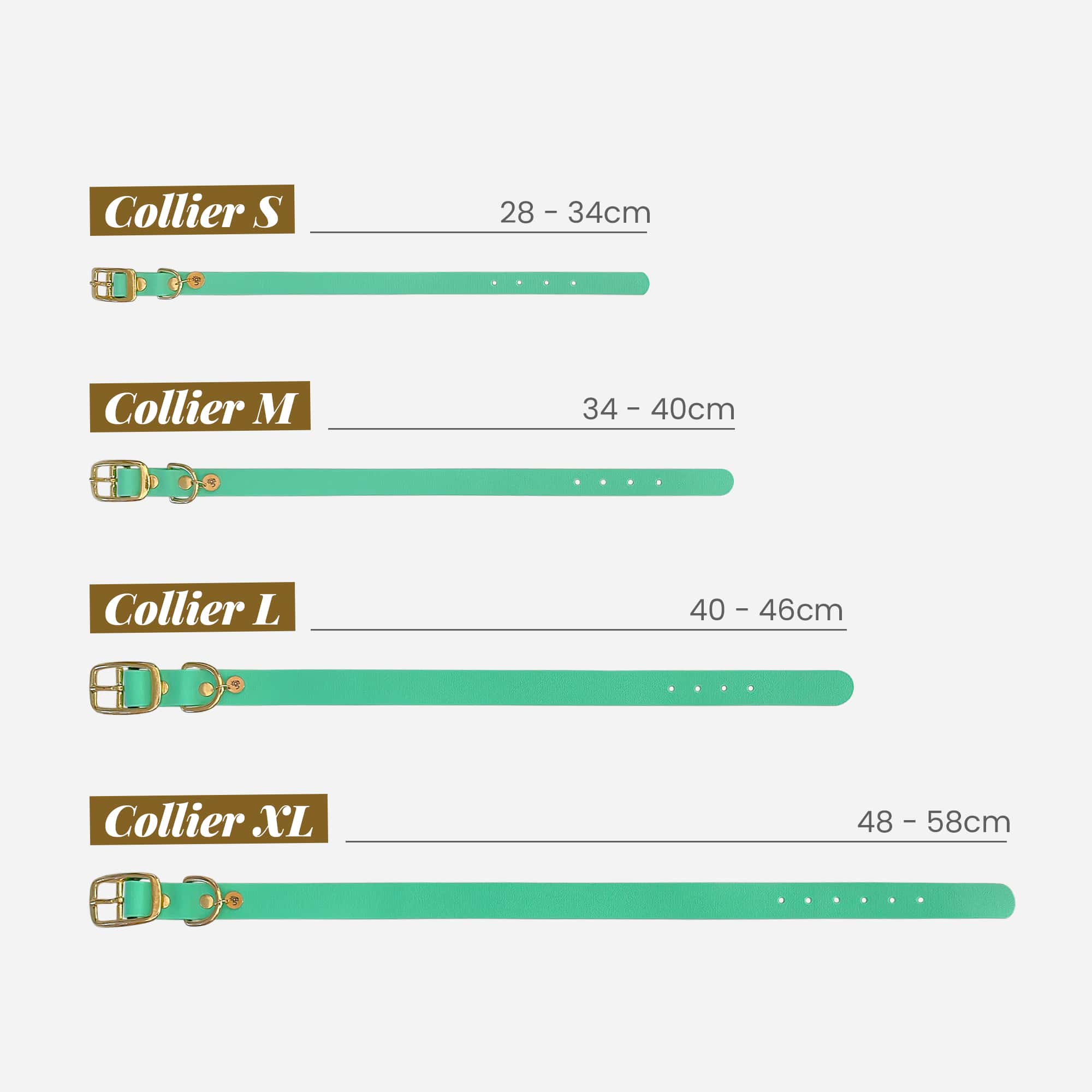 Différence de longueurs des 4 colliers