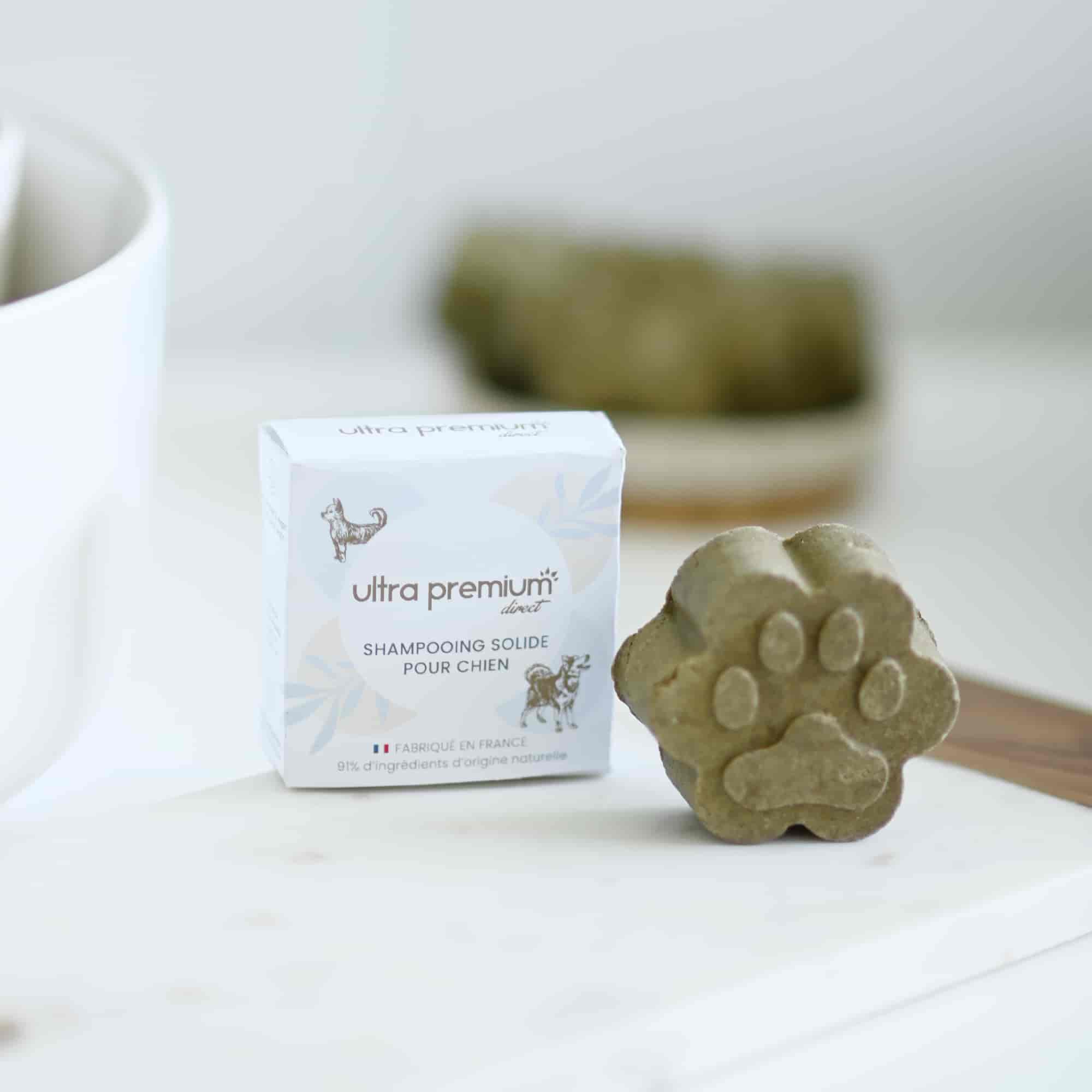 Shampooing solide pour chien en intérieur