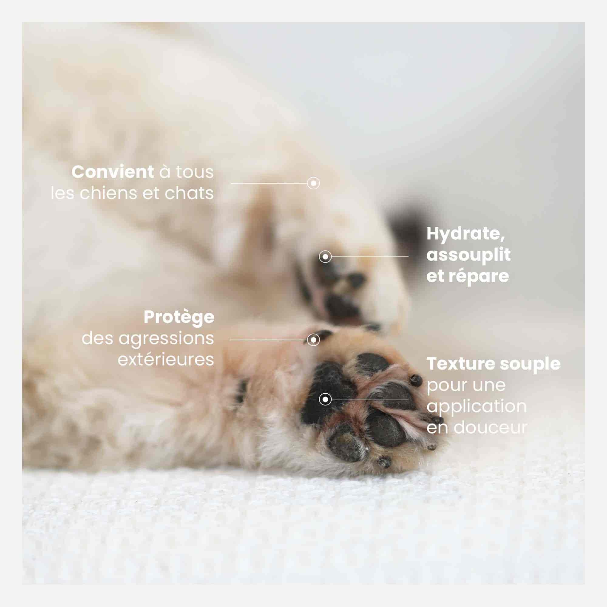 Les 4 bénéfices du Baume nourrissant indiqués sur les coussinets d'un petit chien