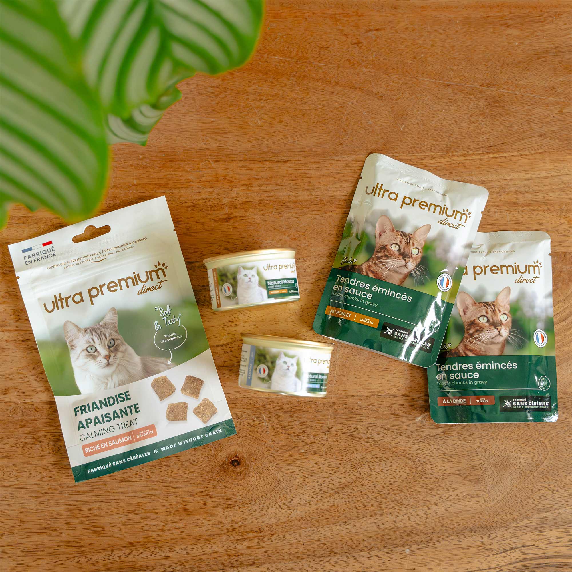 Kit plaisir pour chat, sur une planche en bois