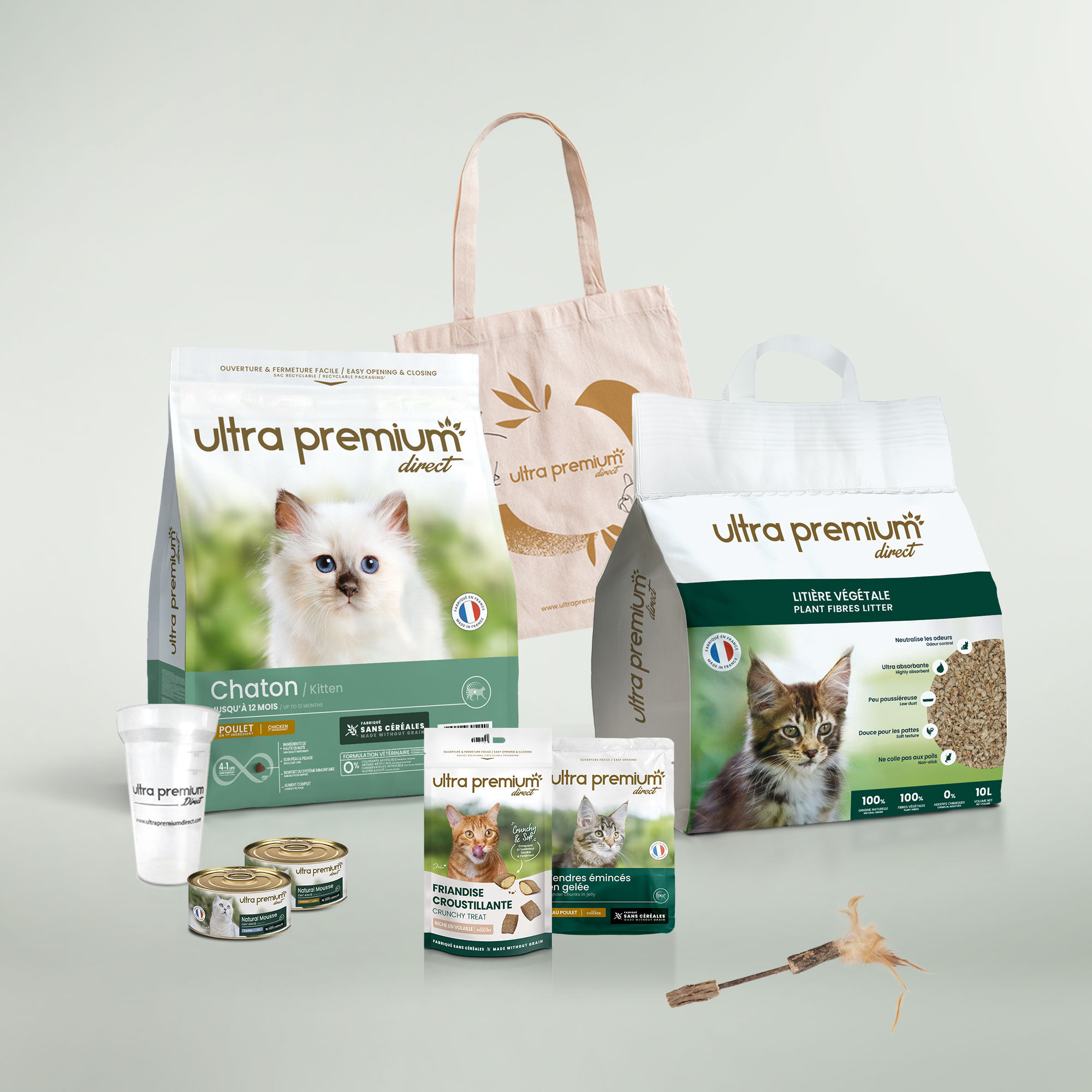 Kit de bienvenue pour chaton sur fond vert clair