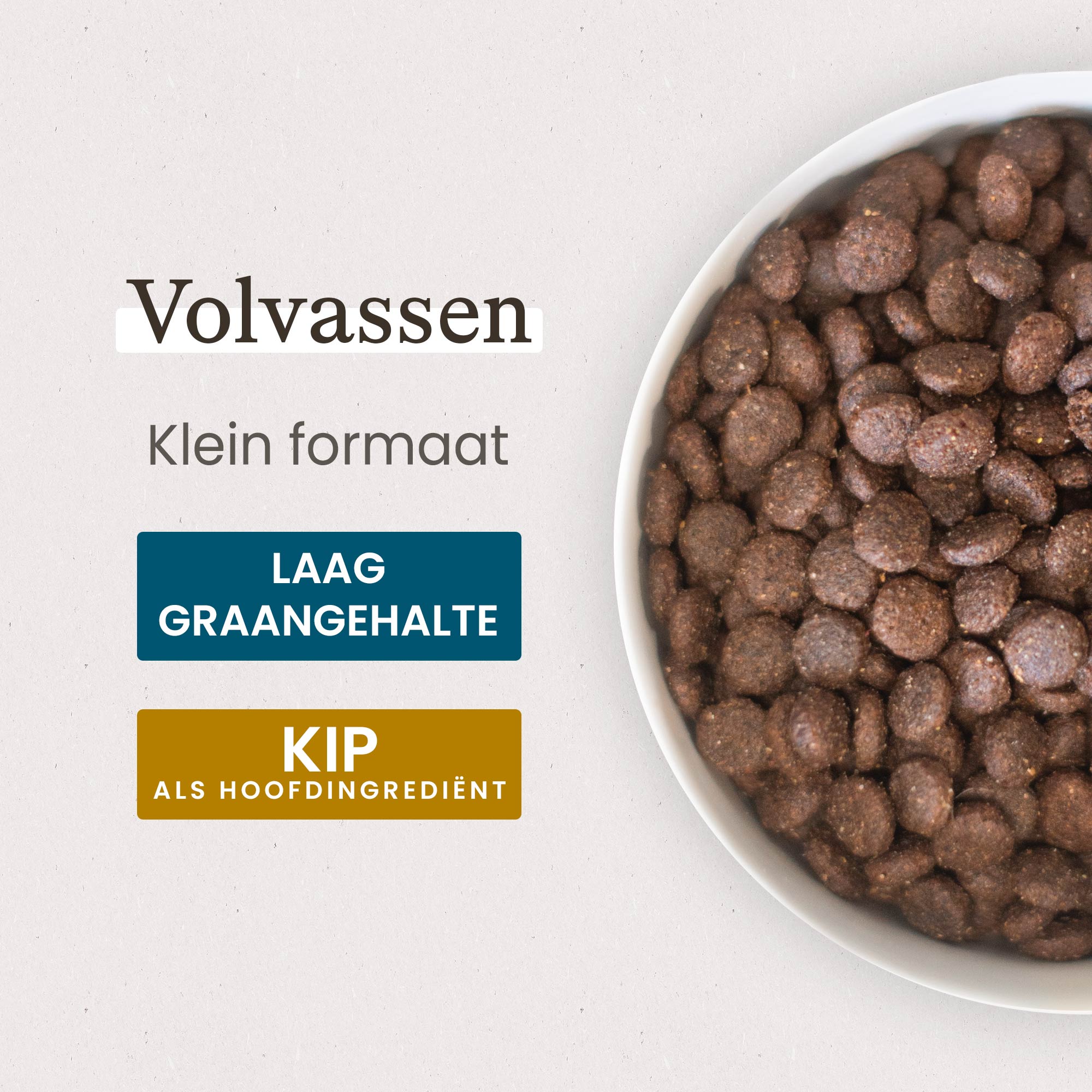 Kom met Super Premium brokken voor kleine volwassen hond in close-up