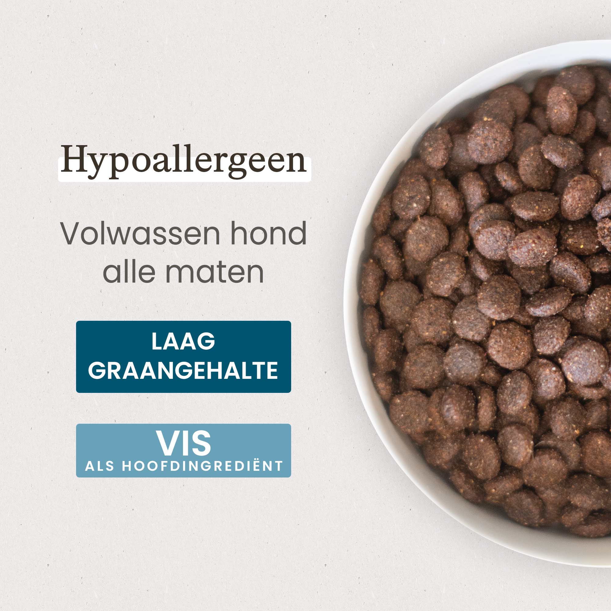 Kom met Brokken voor hypoallergene volwassen hond van alle groottes in close-up