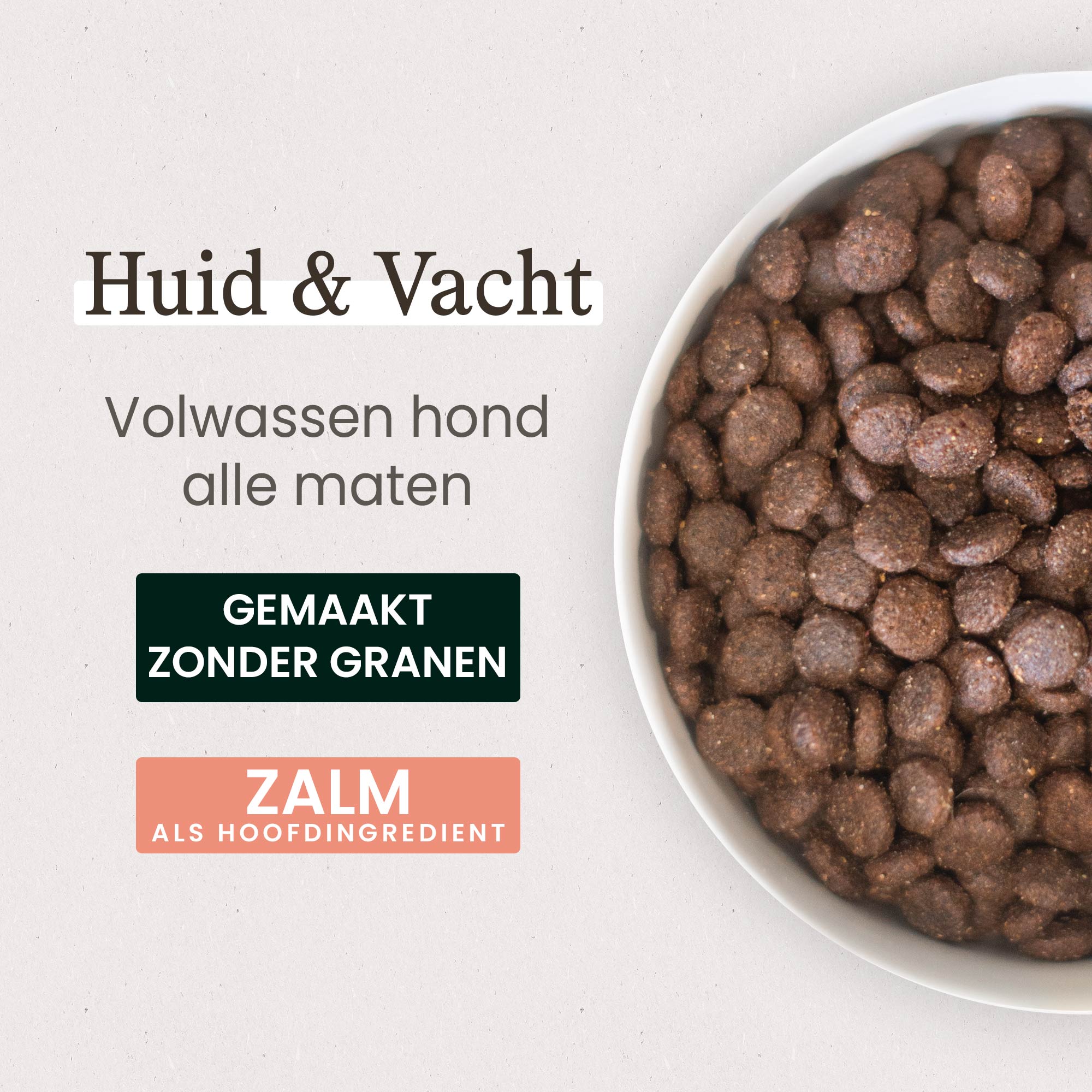 Kom gevuld met huid- en vachtbrokjes voor volwassen honden van alle maten met zalm