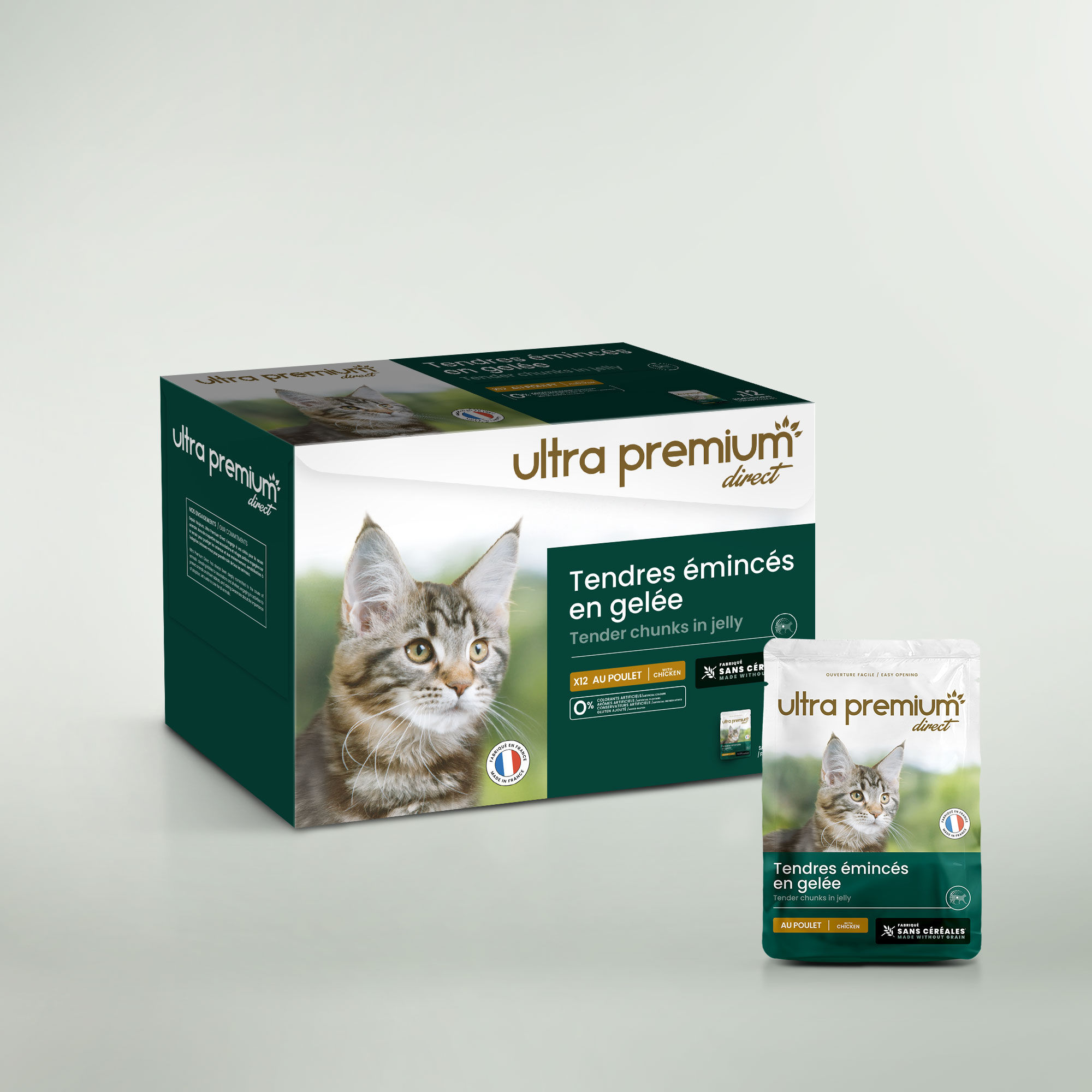 Gesneden graanvrije gelei voor kat met kip op een lichtgroene achtergrond
