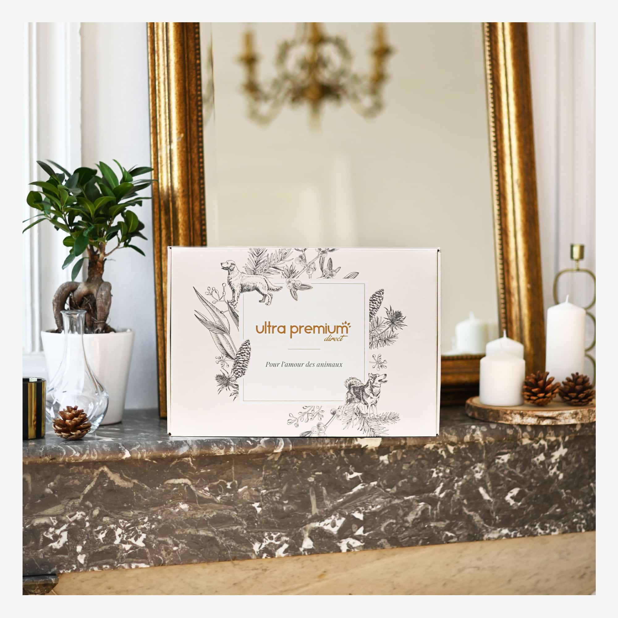 Geschenkdoos voor hond