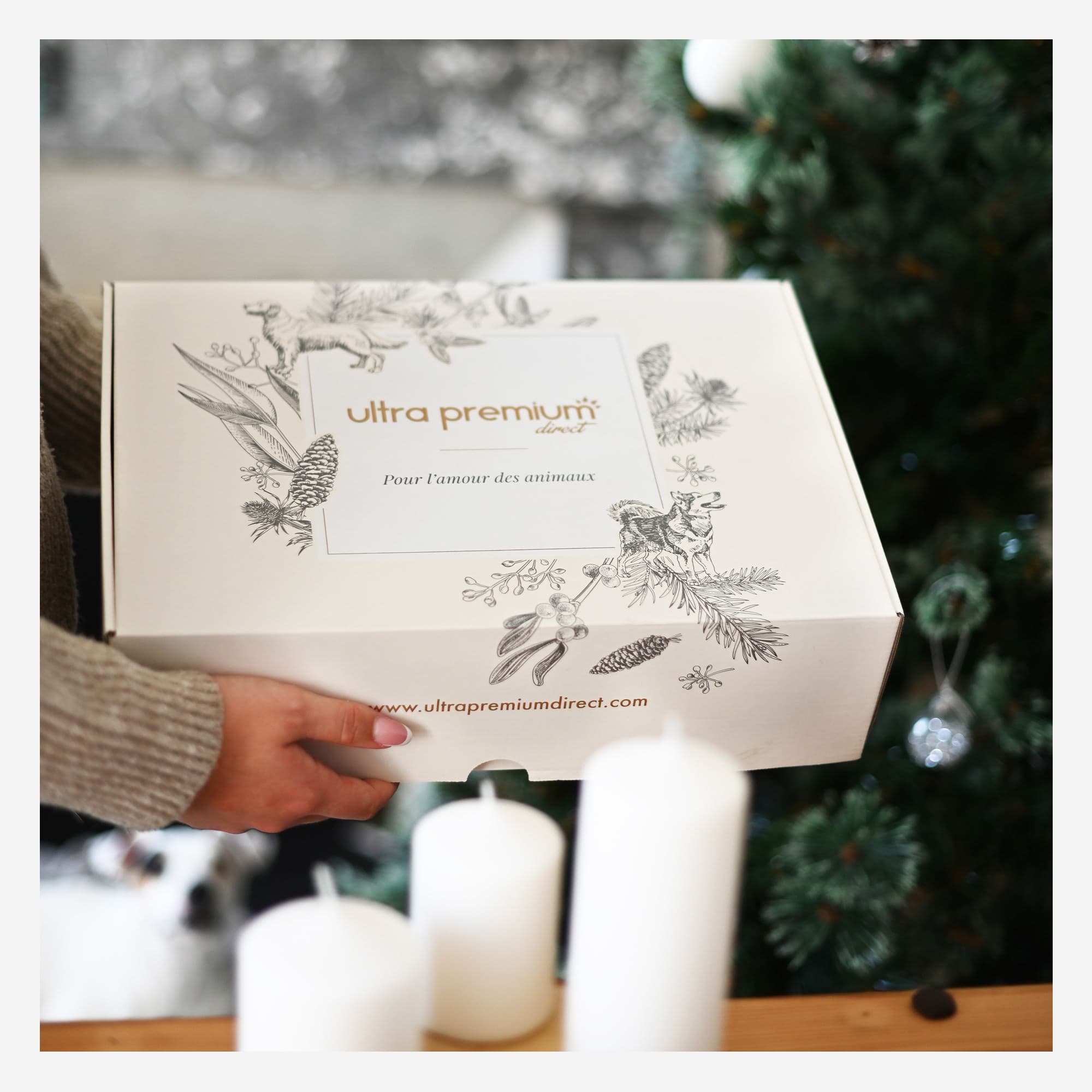 Geschenkdoos voor hond