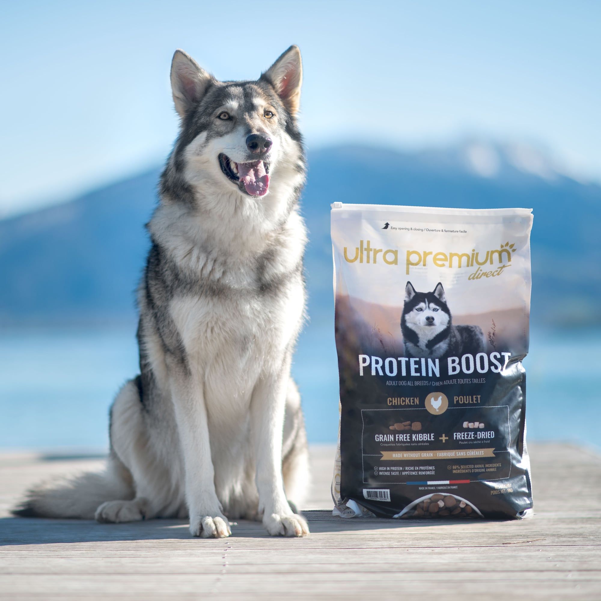Husky staat buiten naast een zak Protein Boost brokken gevoelige spijsverteringsbrokjes