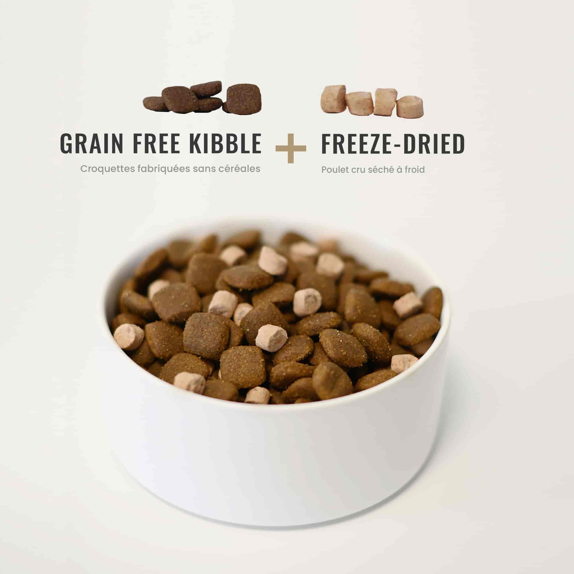 Kom met Protein Boost graanvrije brokken voor hond met een gevoelige spijsvertering in close-up