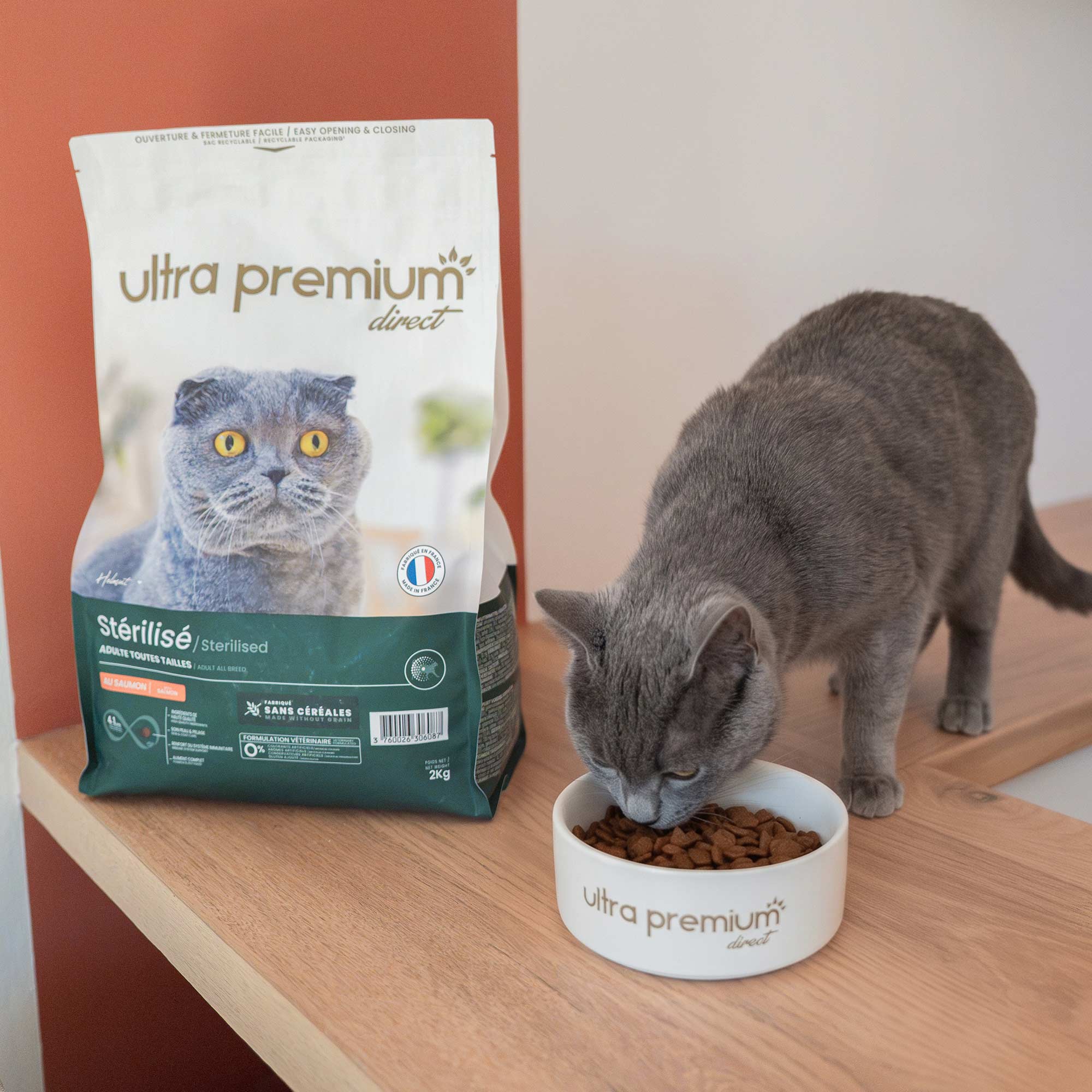 Grijze kat eet graanvrij kattenvoer met zalmsmaak uit een bakje.