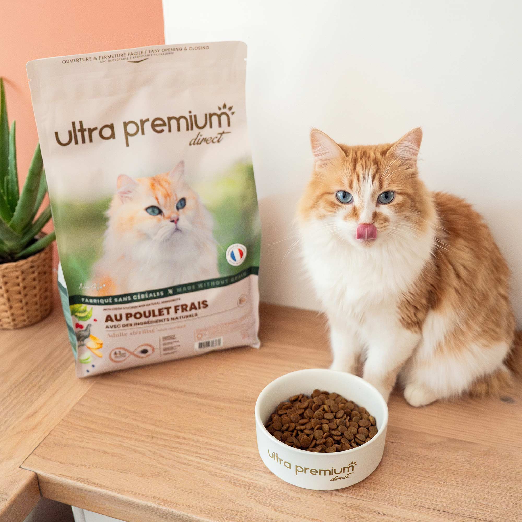 Een rosse kat voor een kom met het recept voor graanvrije brokjes met verse kip voor gesteriliseerde katten.