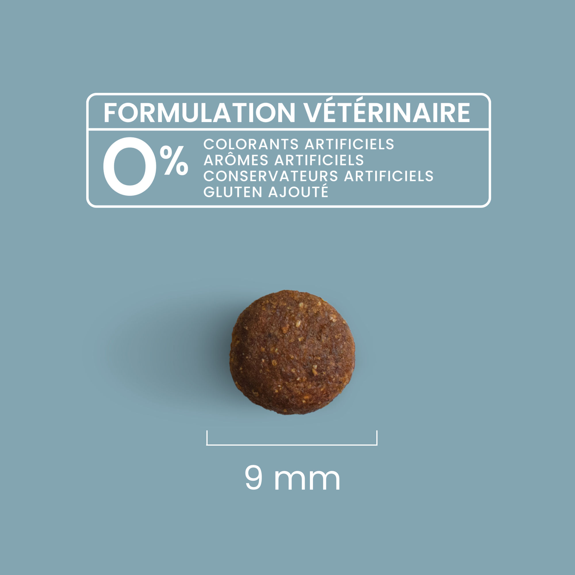Zoom sur une croquette avec détails de taille et formulation vétérinaire pour chien adulte de petite taille