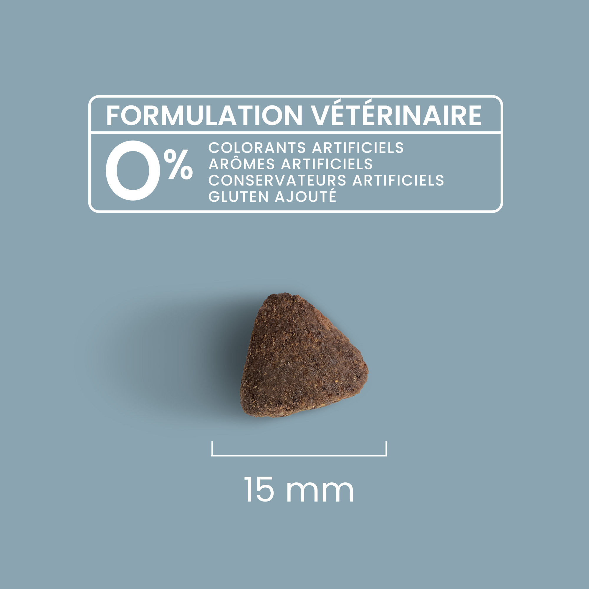 Zoom sur une croquette avec détails de taille et formulation vétérinaire pour chien adulte stérilisé / surpoids de toutes tailles