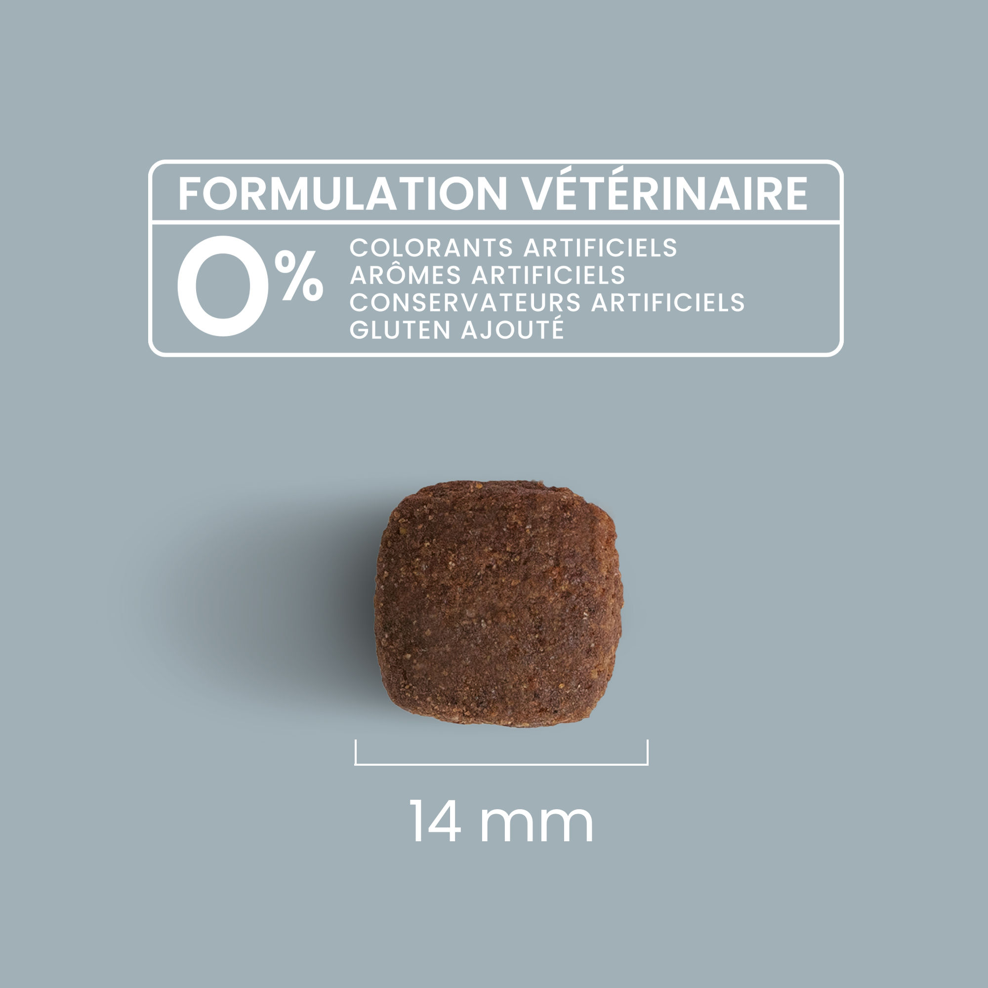Zoom sur une croquette avec détails de taille et formulation vétérinaire pour chien adulte stérilisé / surpoids de toutes tailles