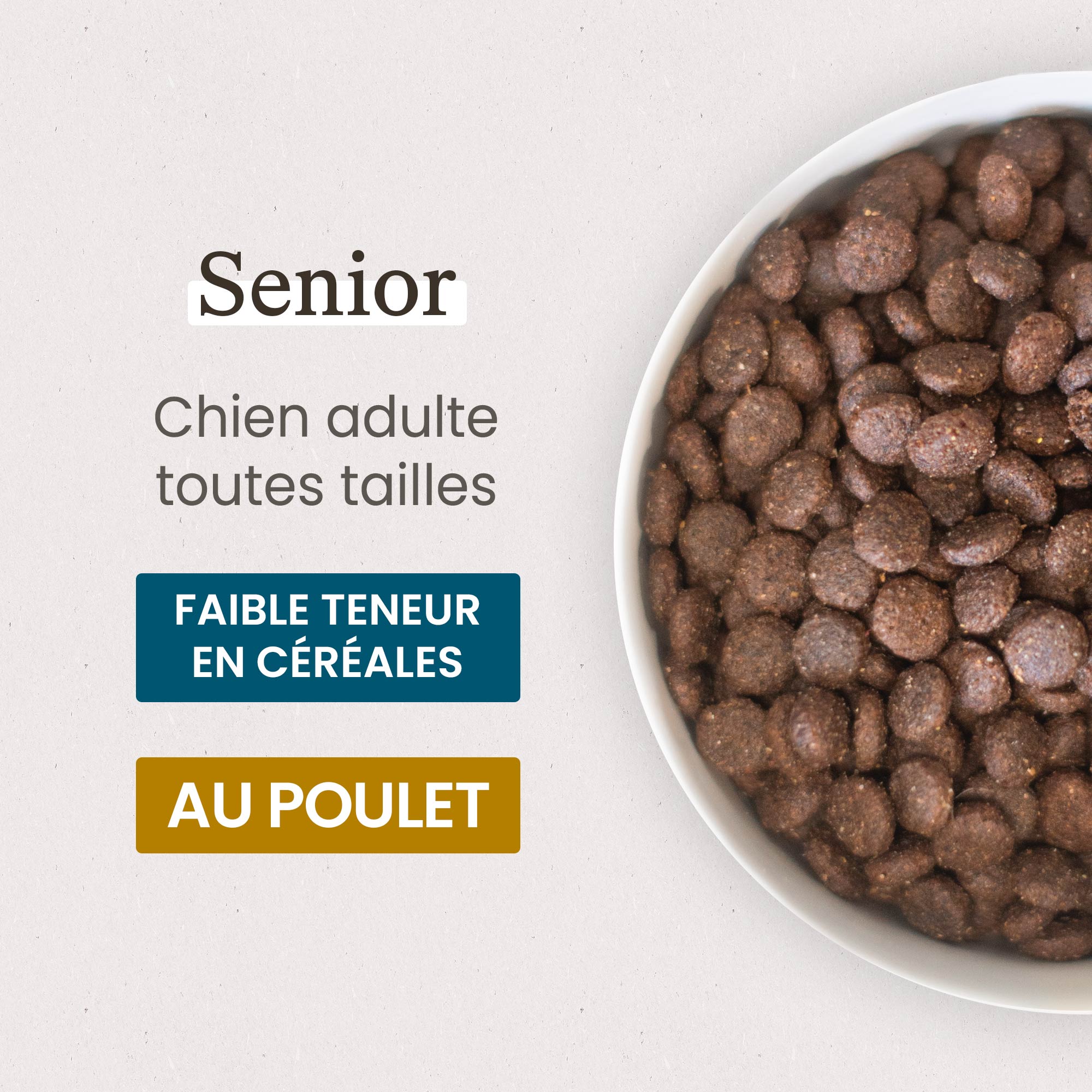 Gamelle contenant les Croquettes Care pour chien adulte senior de toutes tailles en gros plan