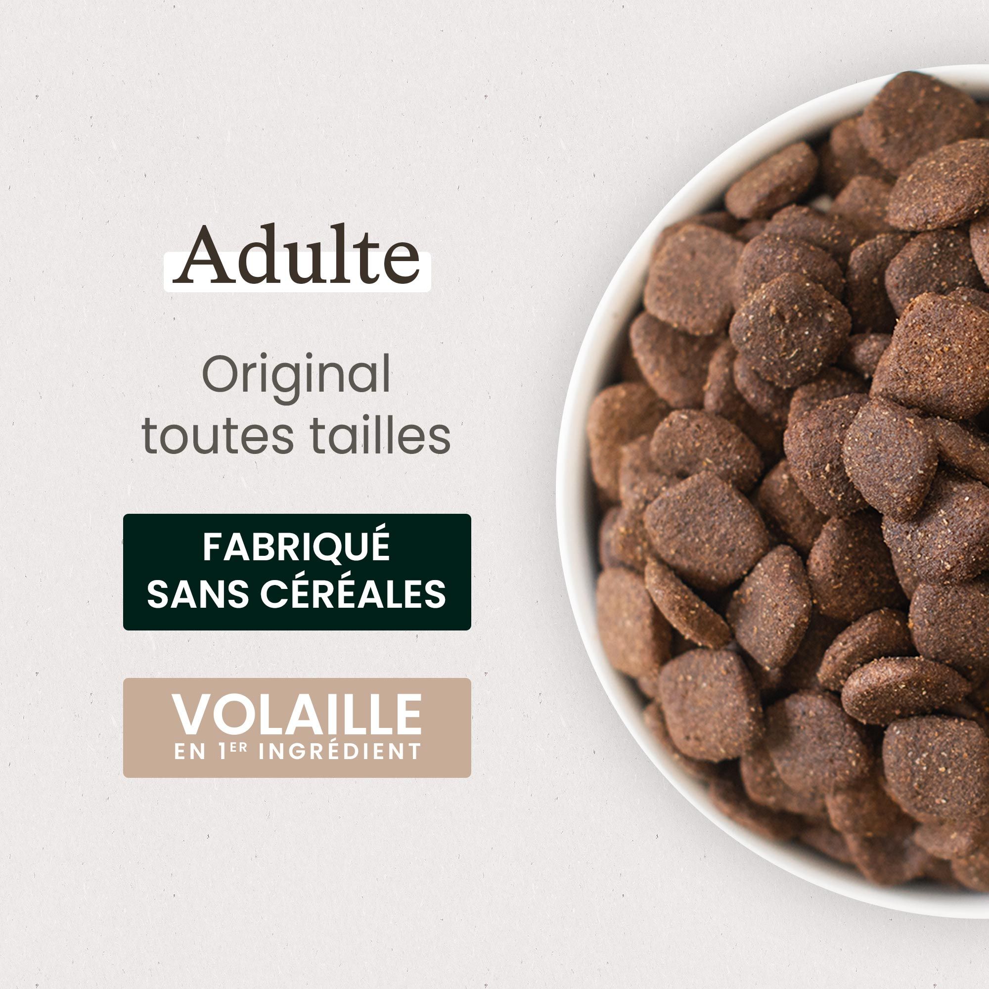 Zoom gamelle contenant les croquettes sans céréales pour chien adulte en gros plan