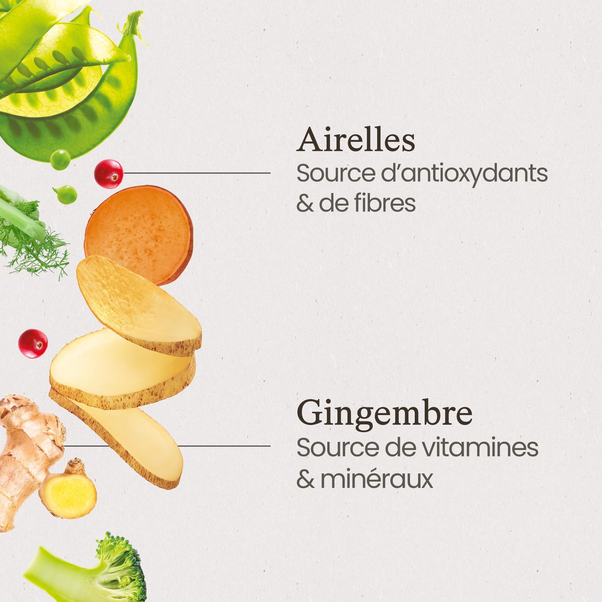 Ingrédients de la recette de croquettes sans céréales au poulet frais pour chiot