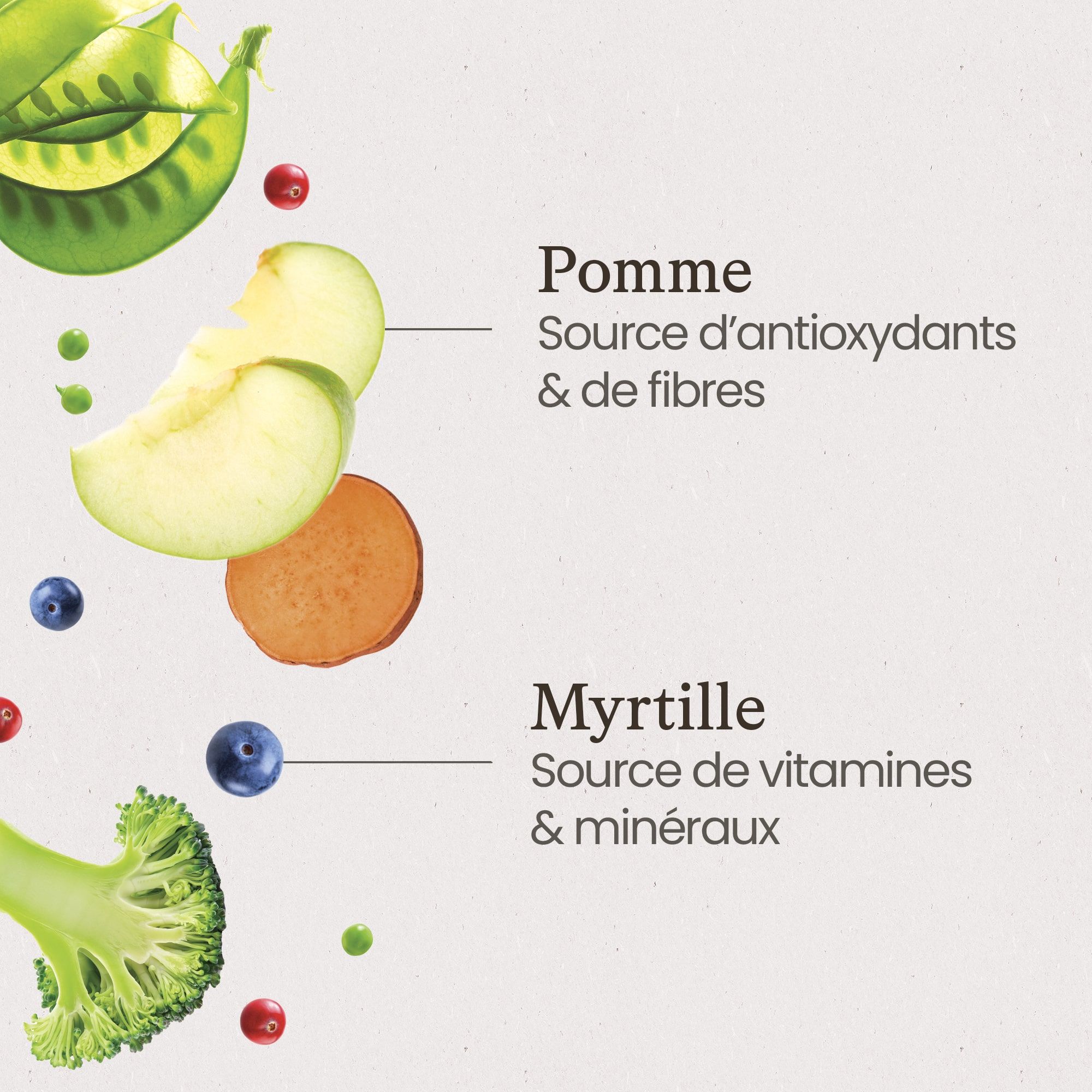 Ingrédients des croquettes nature au saumon frais pour chien adulte de petite taille