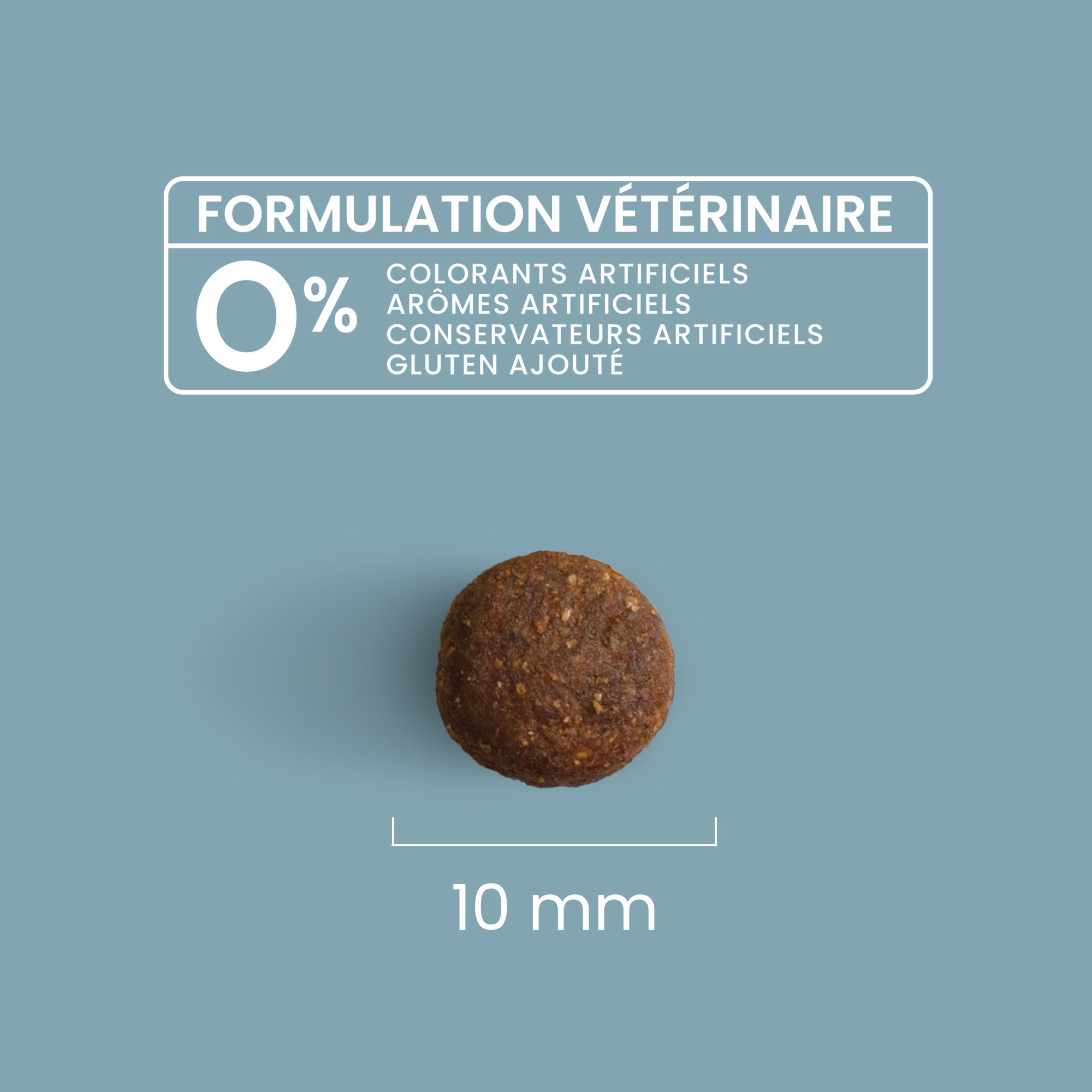 Zoom sur une croquette light pour chat adulte stérilisé avec détails de taille et formulation vétérinaire