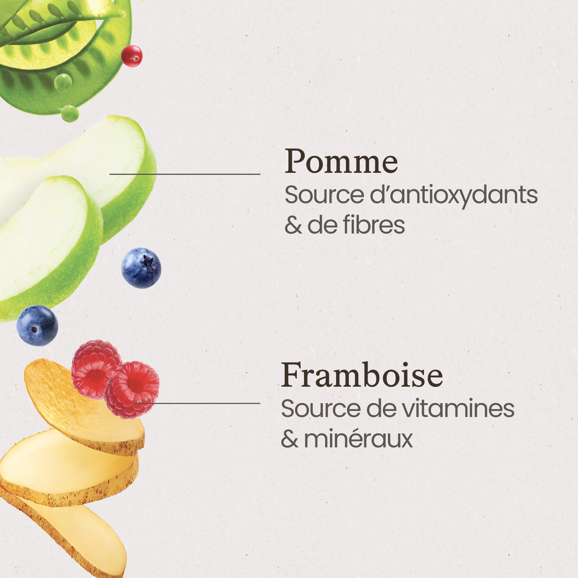 Tranches de pomme et framboises avec légende indiquant que la pomme est une source d'antioxydants et de fibres, et que la framboise est une source de vitamines et de minéraux
