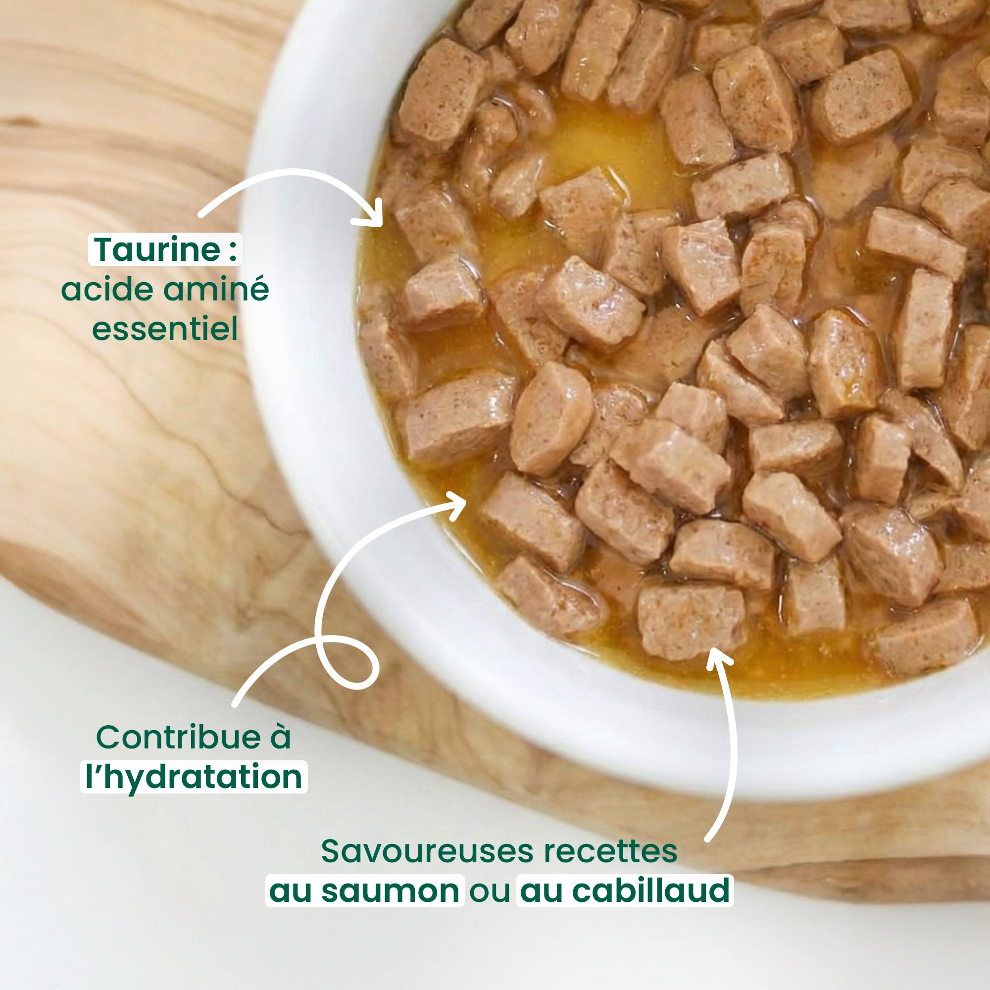 Gamelle remplie d'émincés en sauce sans céréales pour chat au saumon & au cabillaud