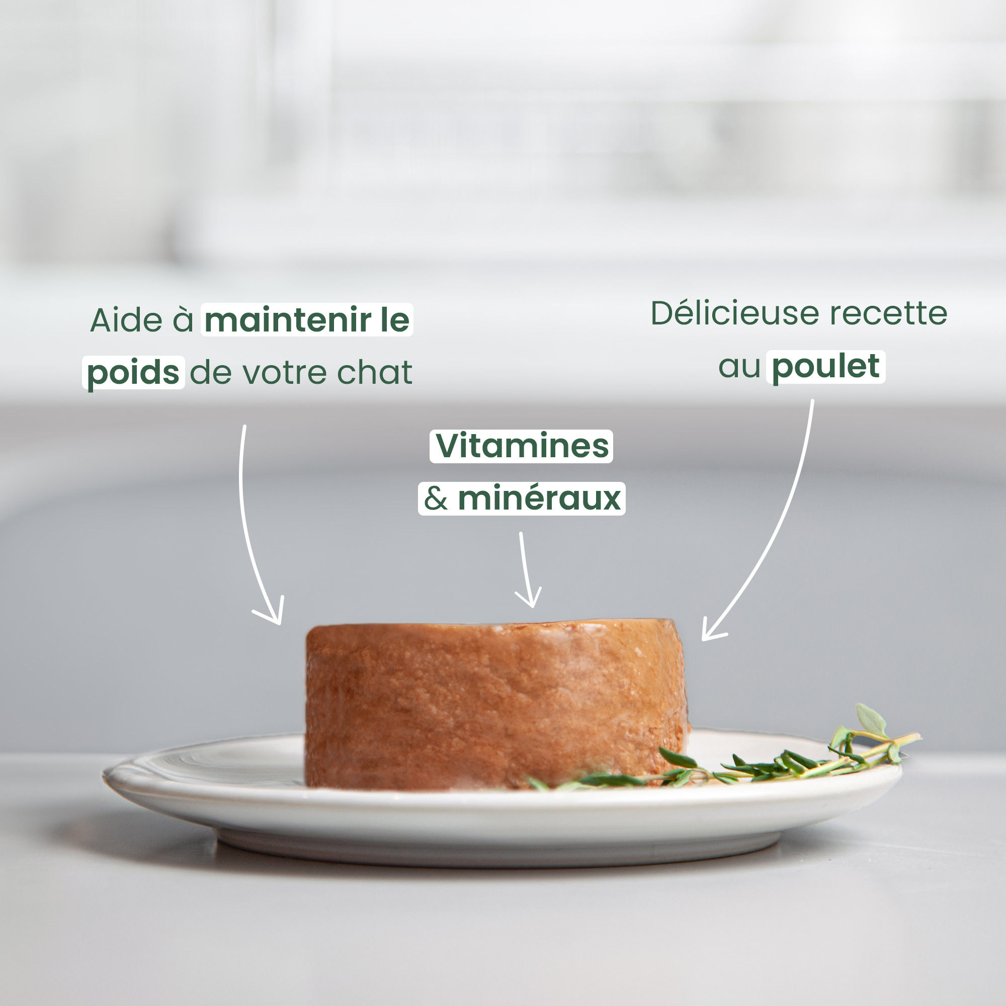 Mousse sans céréales pour chat adulte stérilisé au poulet sans une assiette + bénéfices