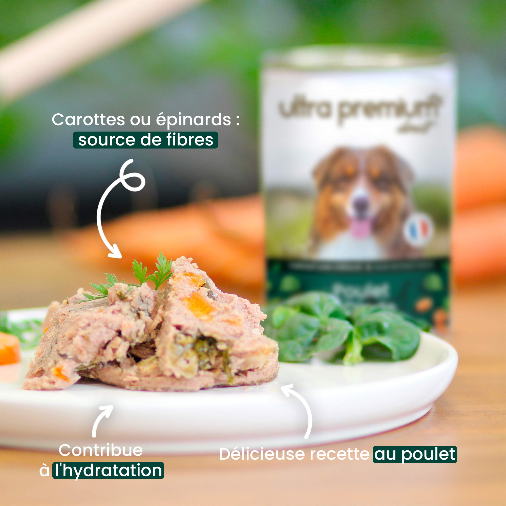 Boîte de pâtée pour chien sans céréales au poulet & dinde sur une planche en bois avec des rondelles de carotte au premier plan