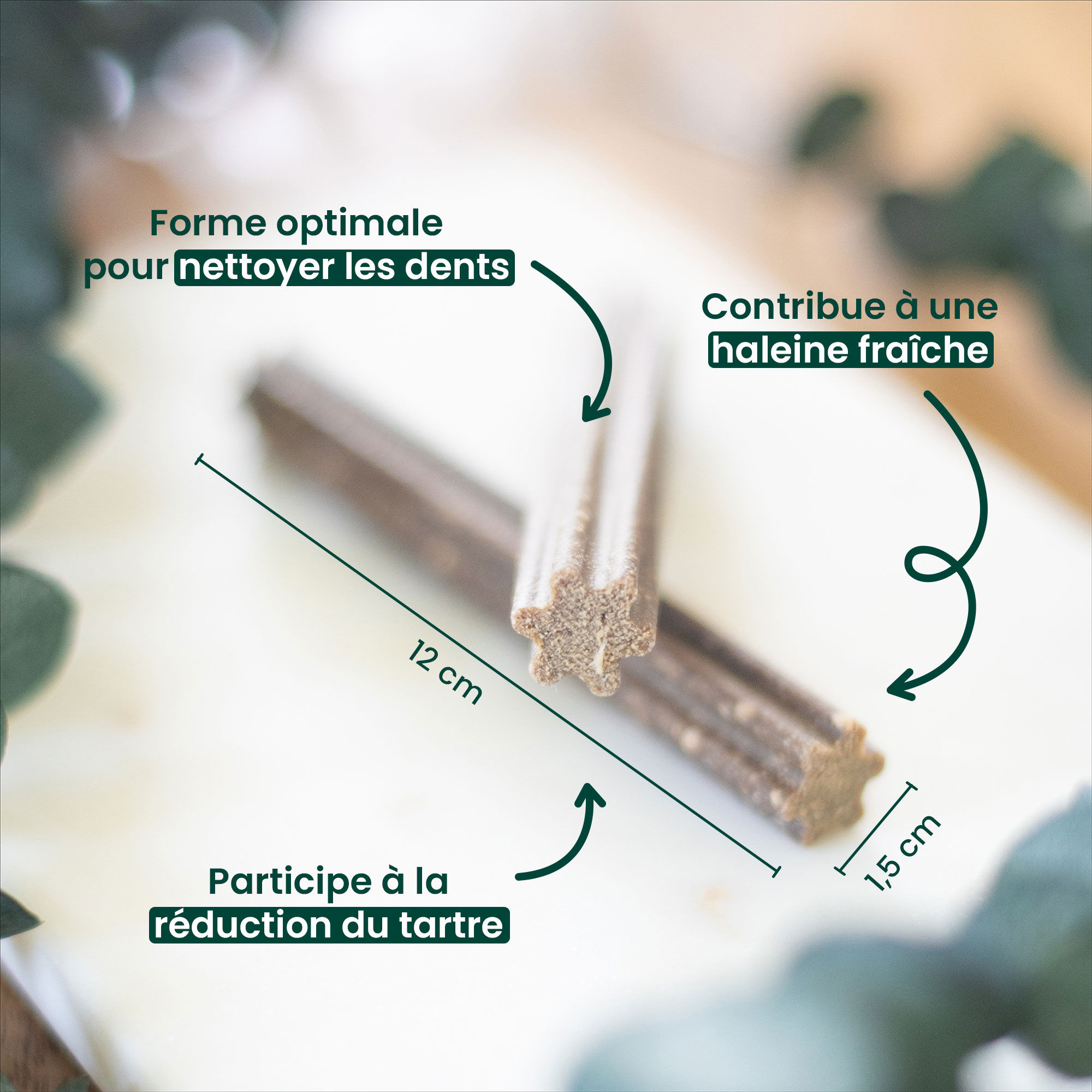 Bâtonnets à mâcher pour chien de 2 à 25kg avec les bienfaits associés 