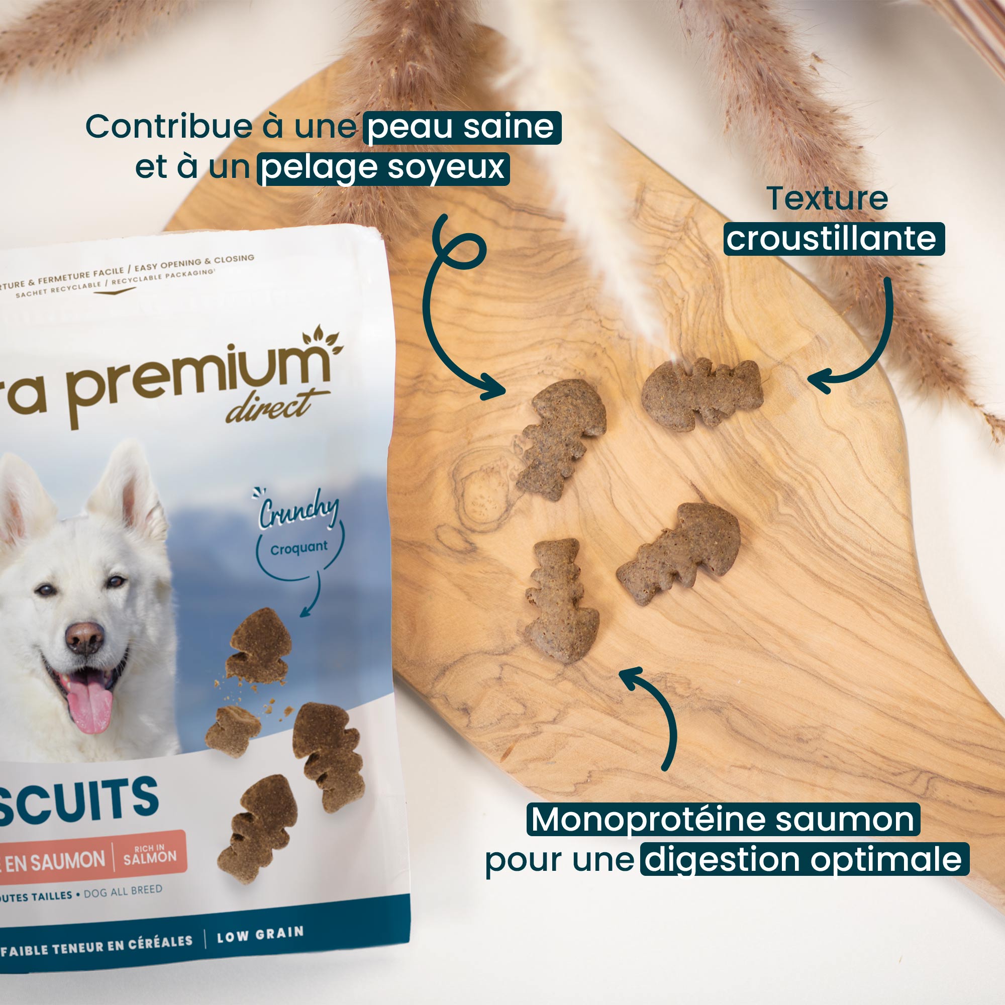 Mise en avant des bienfaits des friandises peau & pelage au saumon pour chien, posées sur une planche en bois