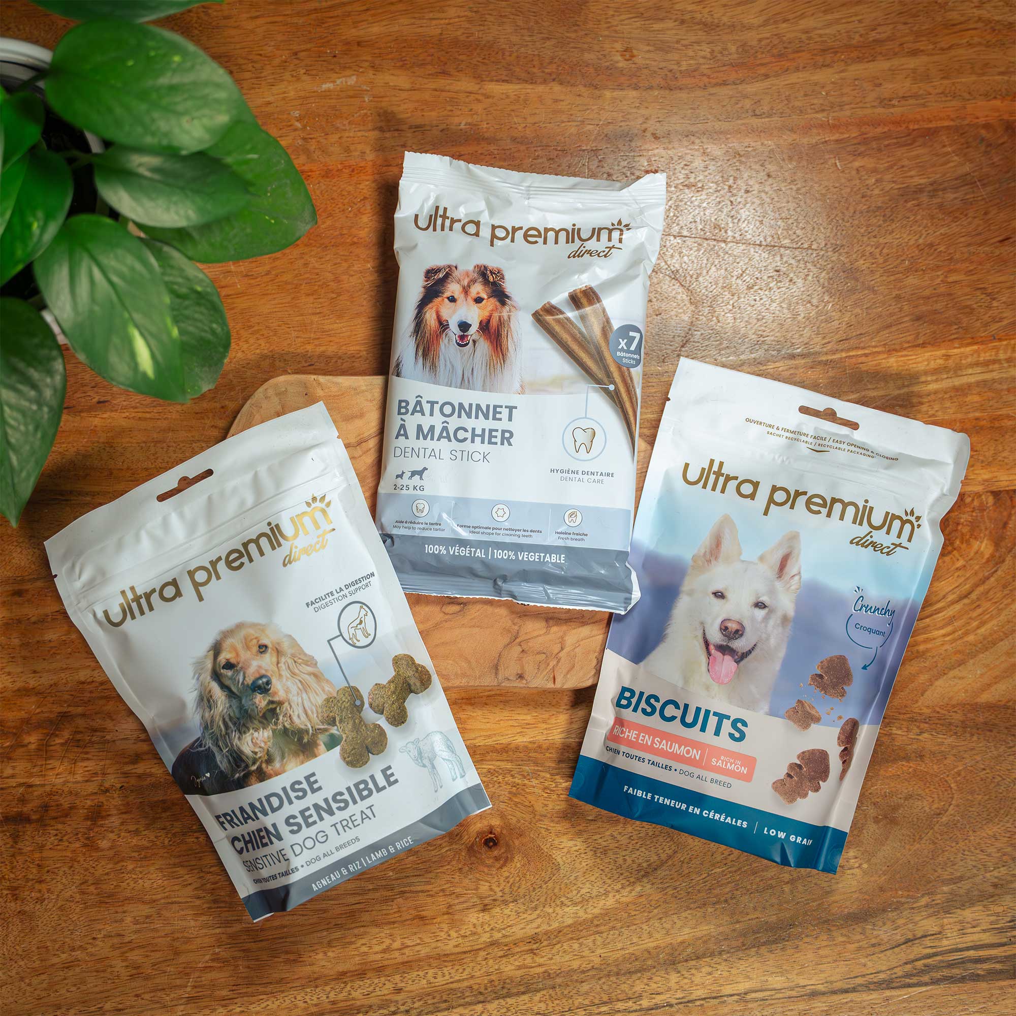 Kit plaisir petit et moyen chien de 2 à 25kg, en intérieur