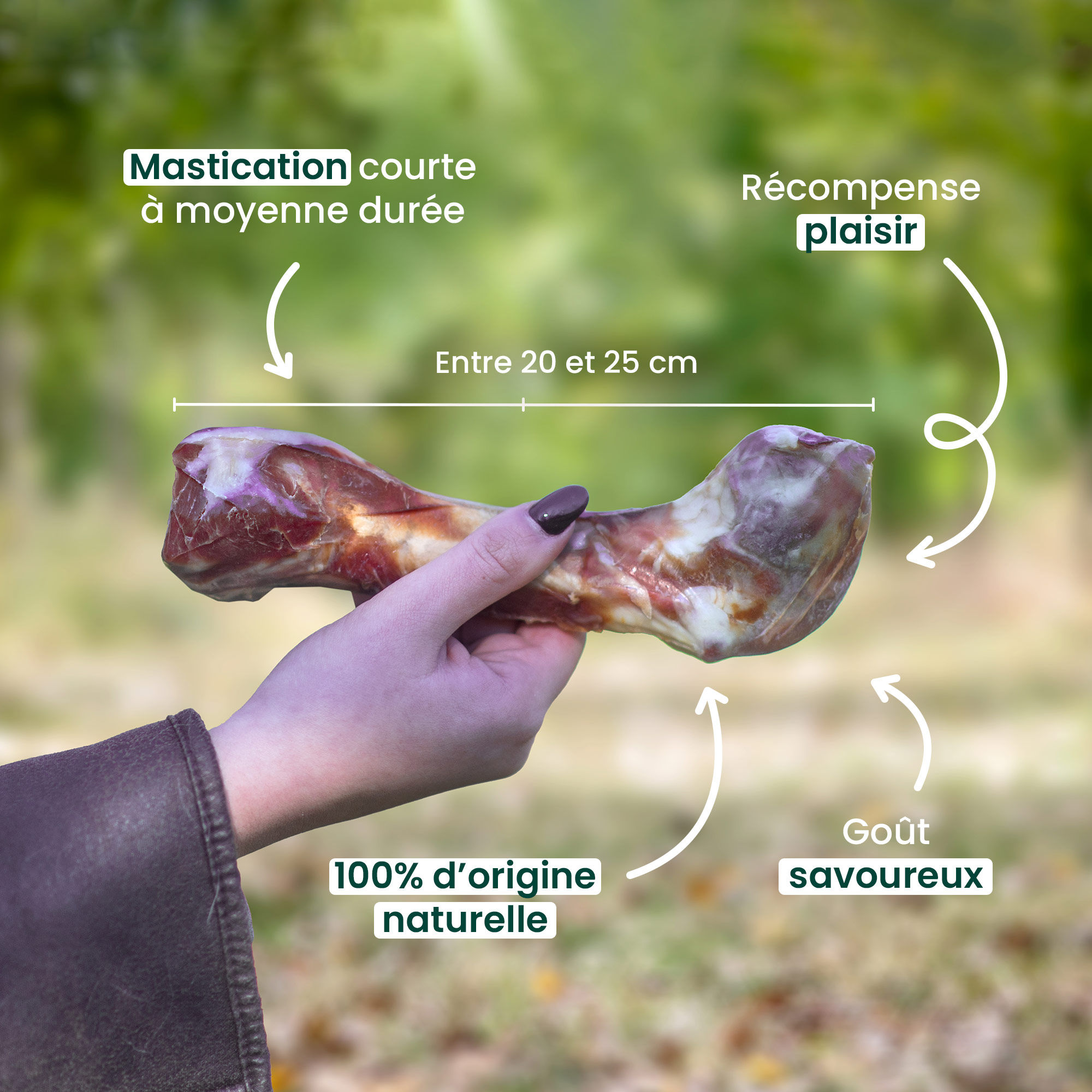 Mise en avant des bienfaits de l'os de jambon pour chien