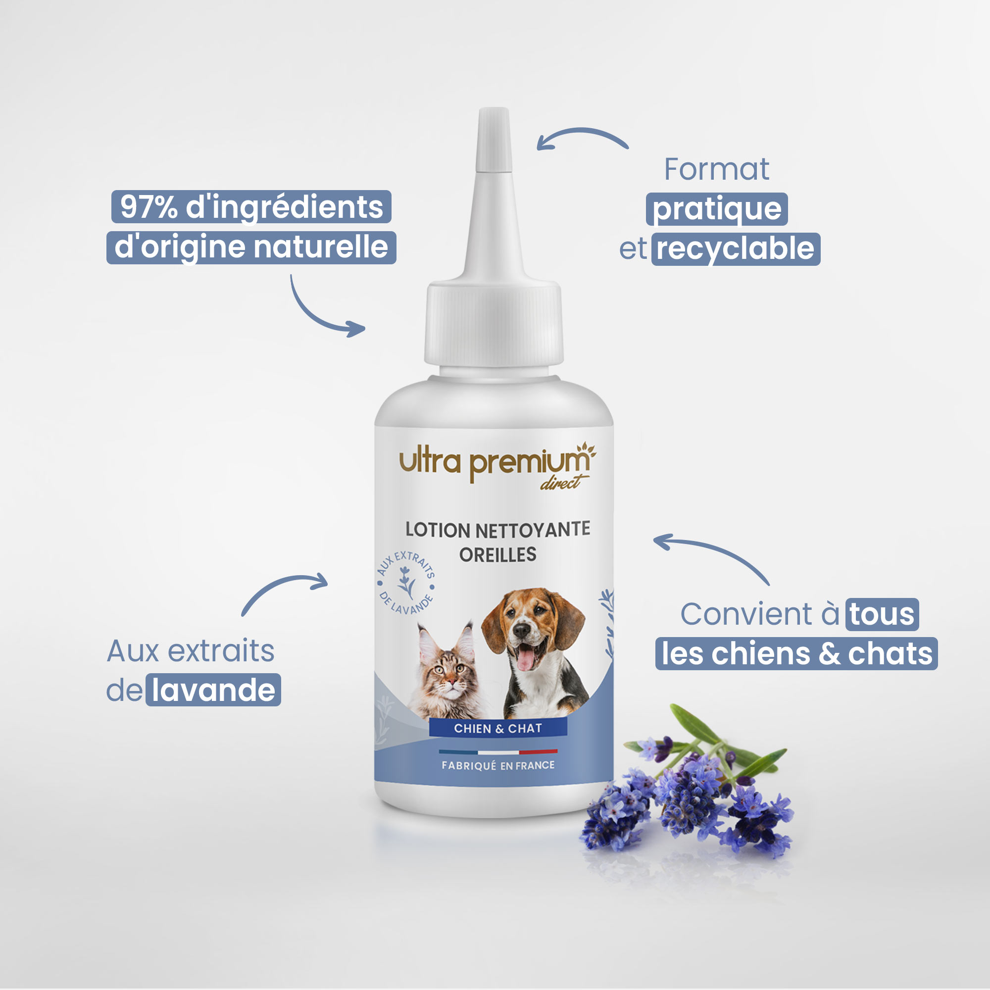 Croisé Teckel assis à côté d'une lotion nettoyante oreilles pour chien et chat