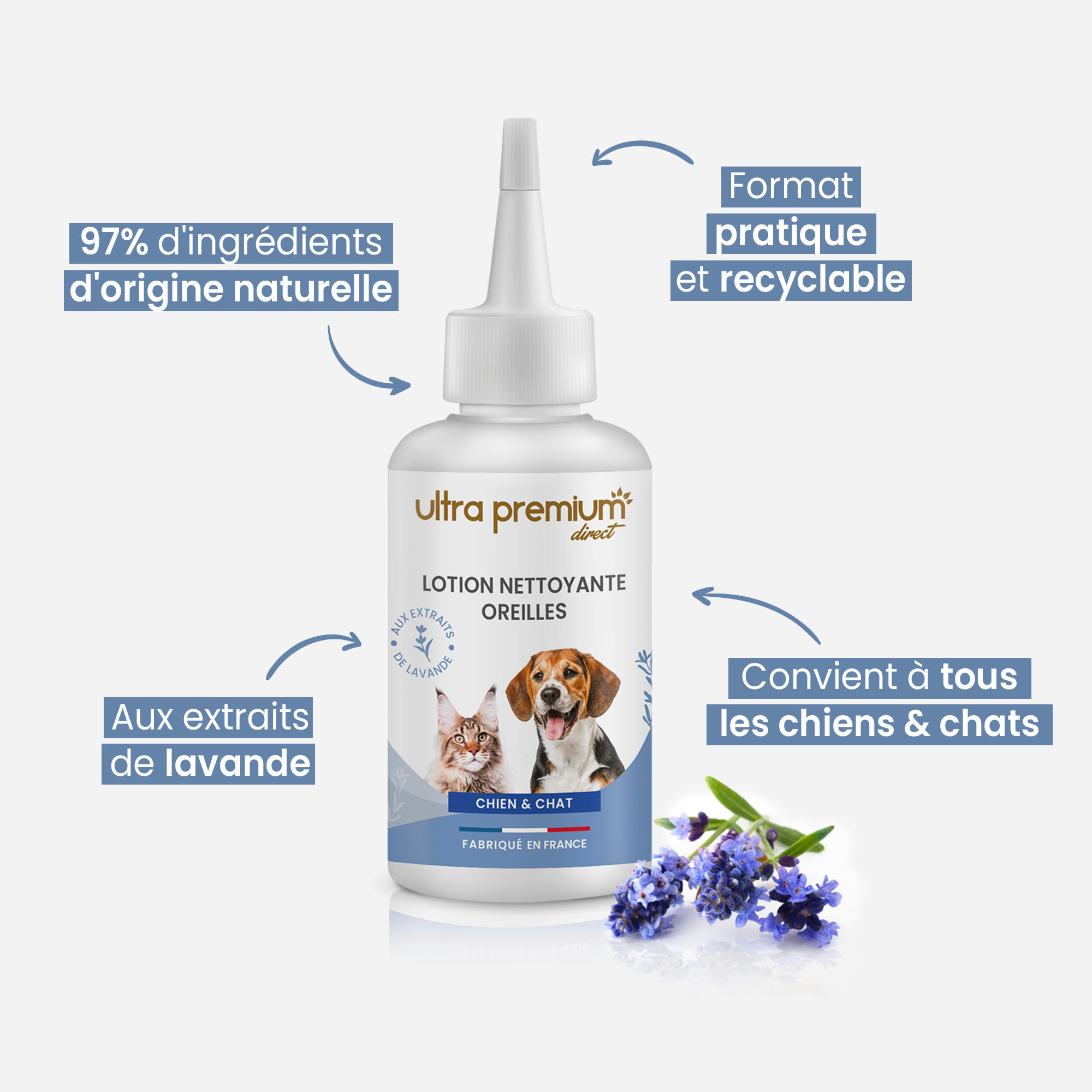 Mise en avant des bienfaits de la lotion nettoyante oreilles pour chien et chat