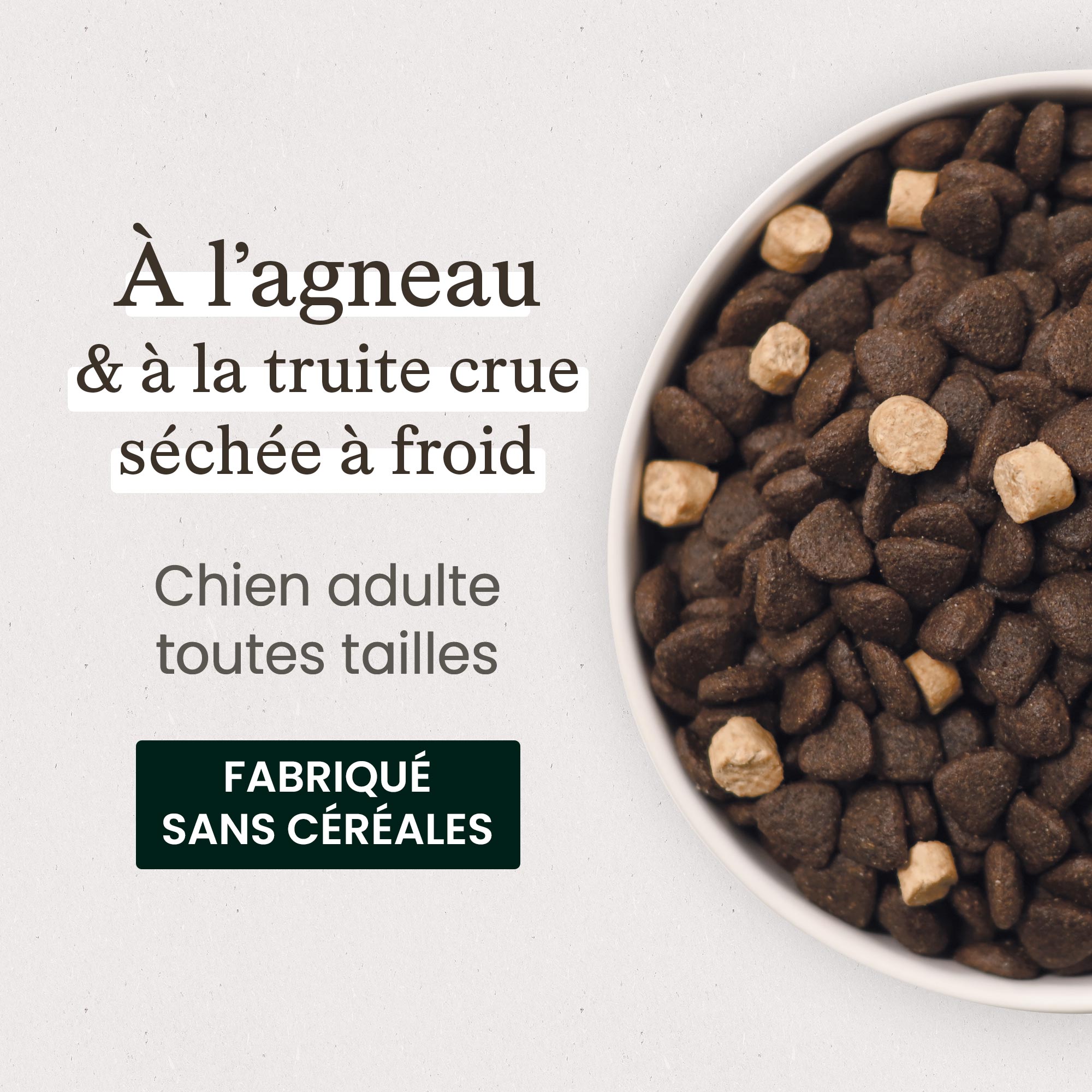 Zoom sur une gamelle de Croquettes agneau et truite crue sans céréales