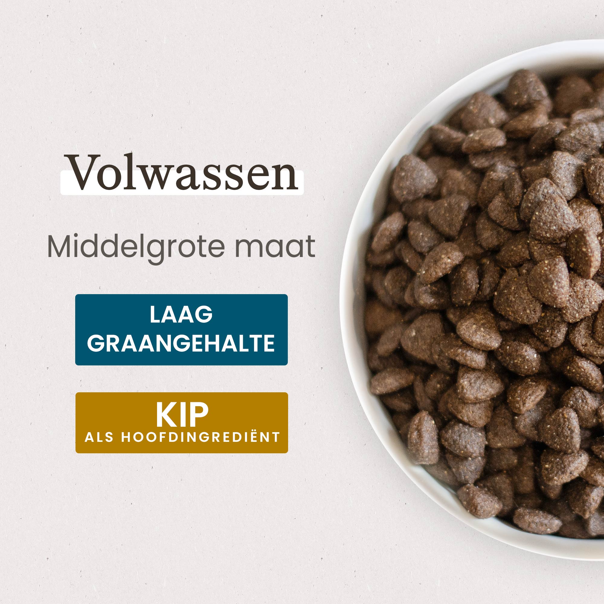 Kom met Super Premium brokken voor middelgrote volwassen hond in close-up